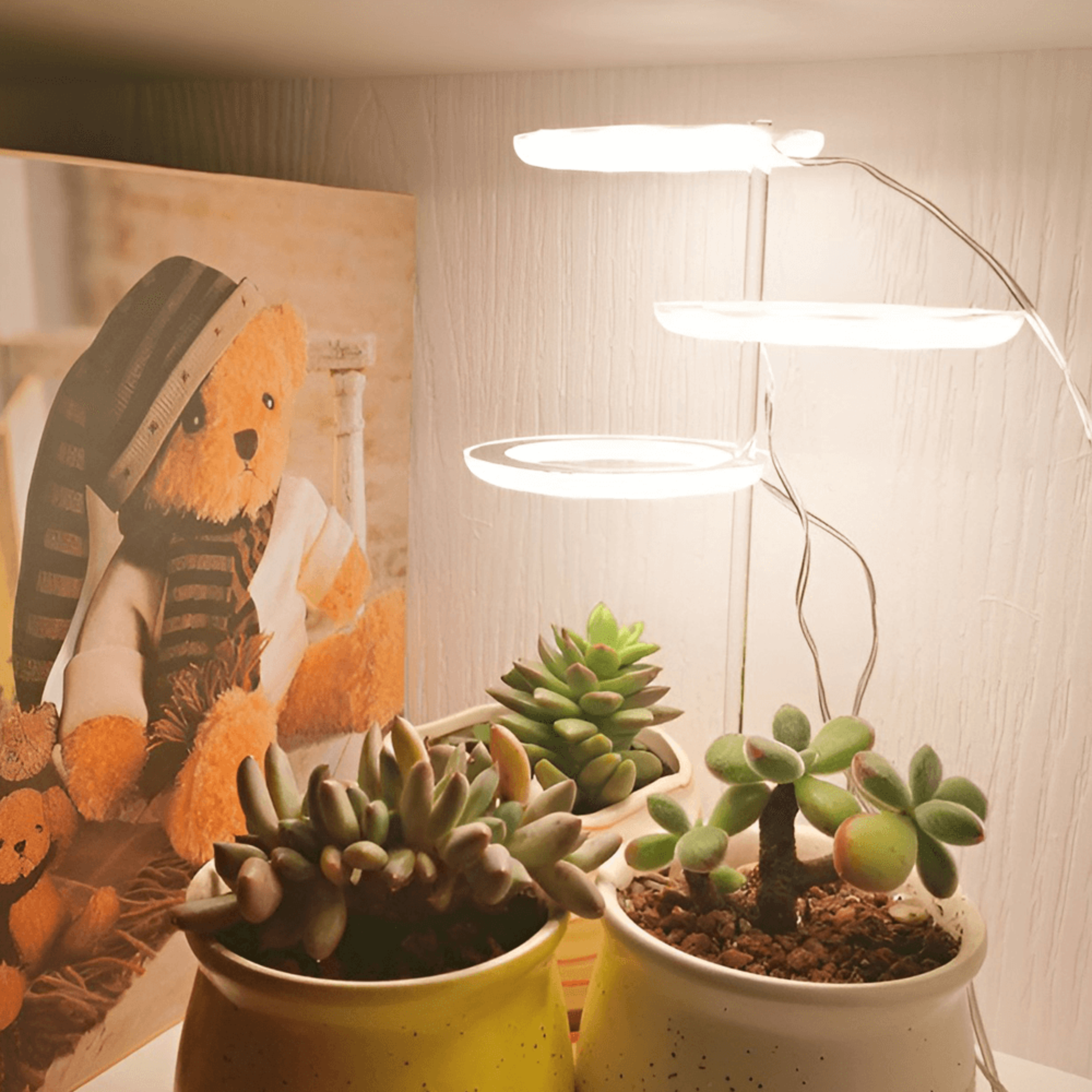Versatile plant lights for home and office