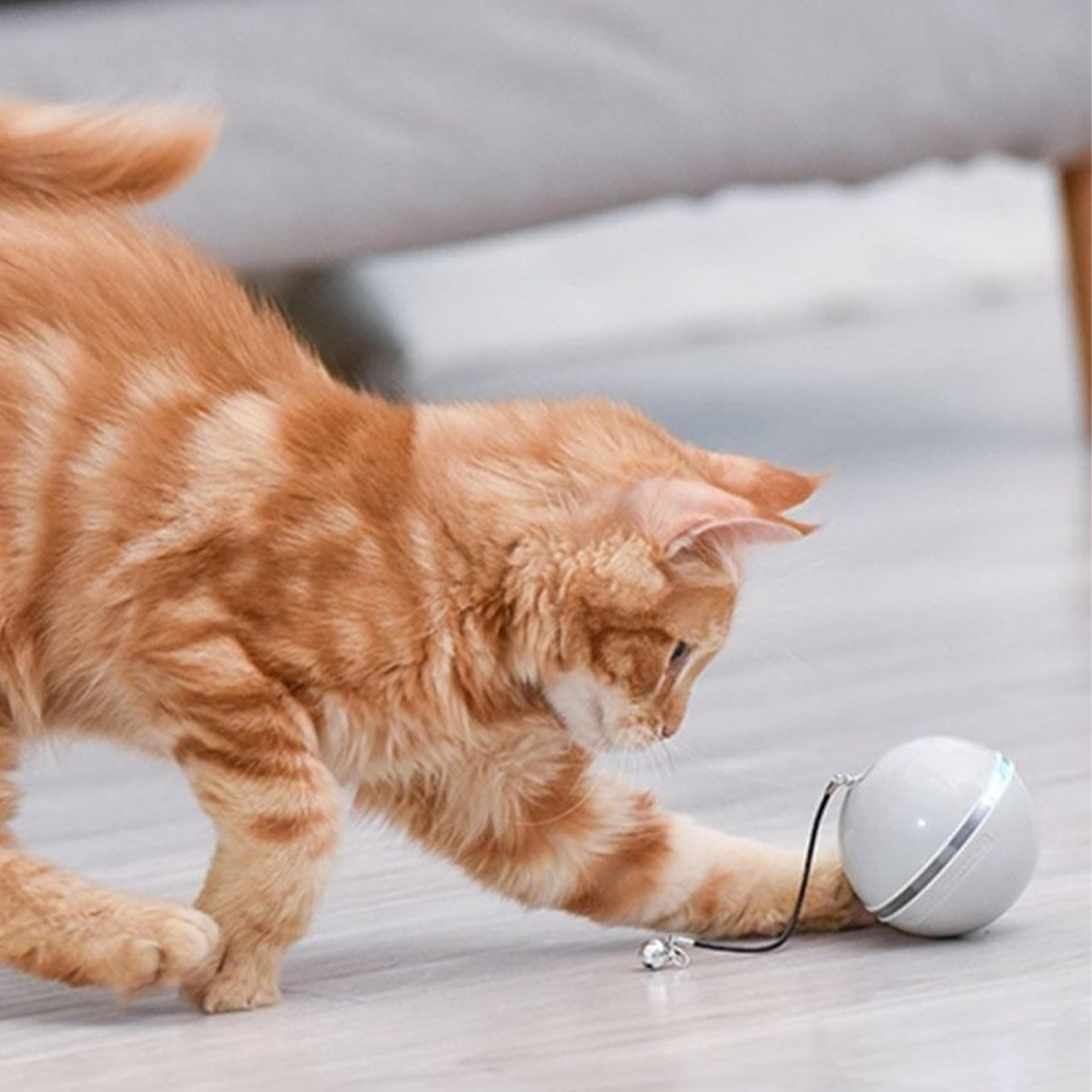 smartinteractiveselfrotatingcattoyball2.png