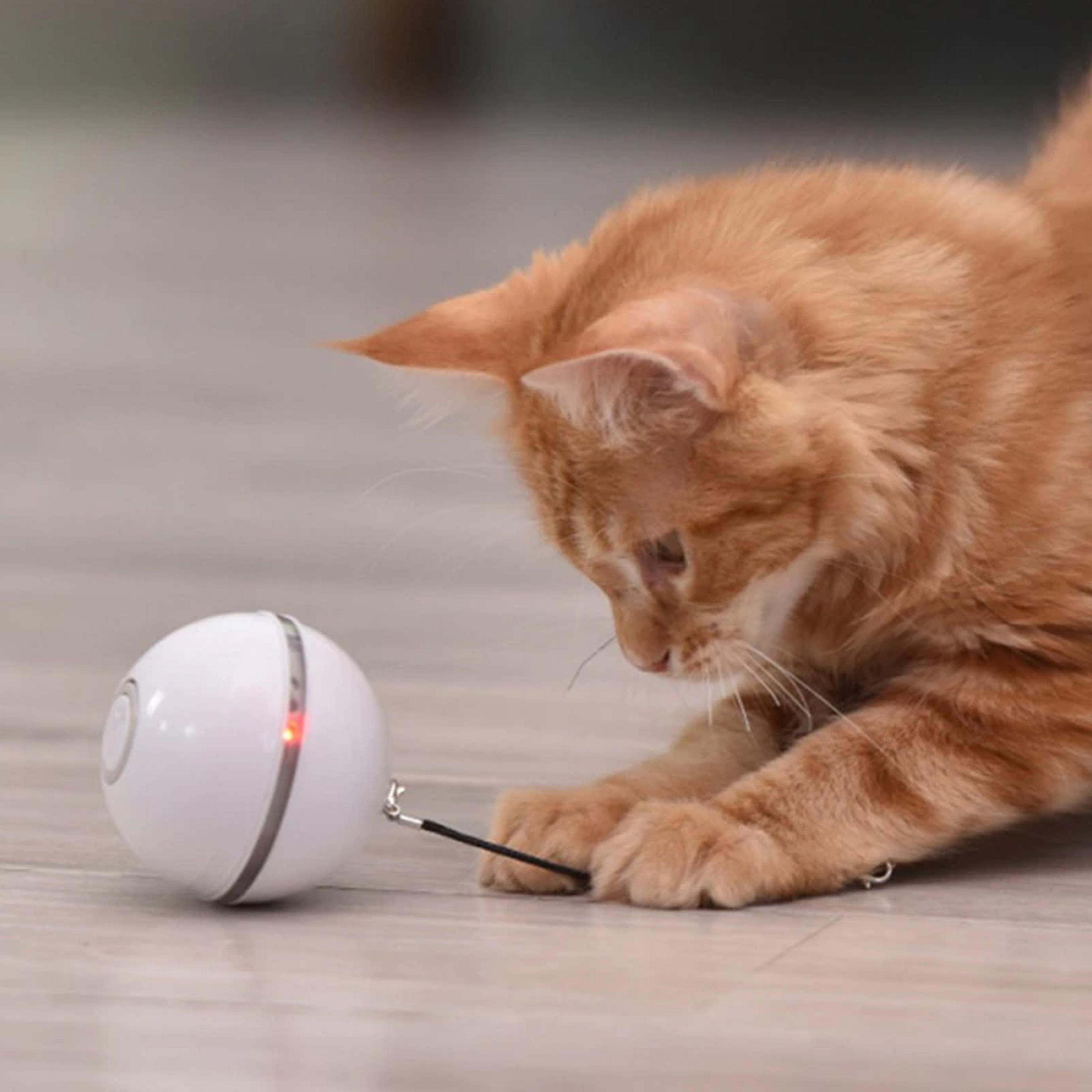 smart interactive self-rotating cat toy ball