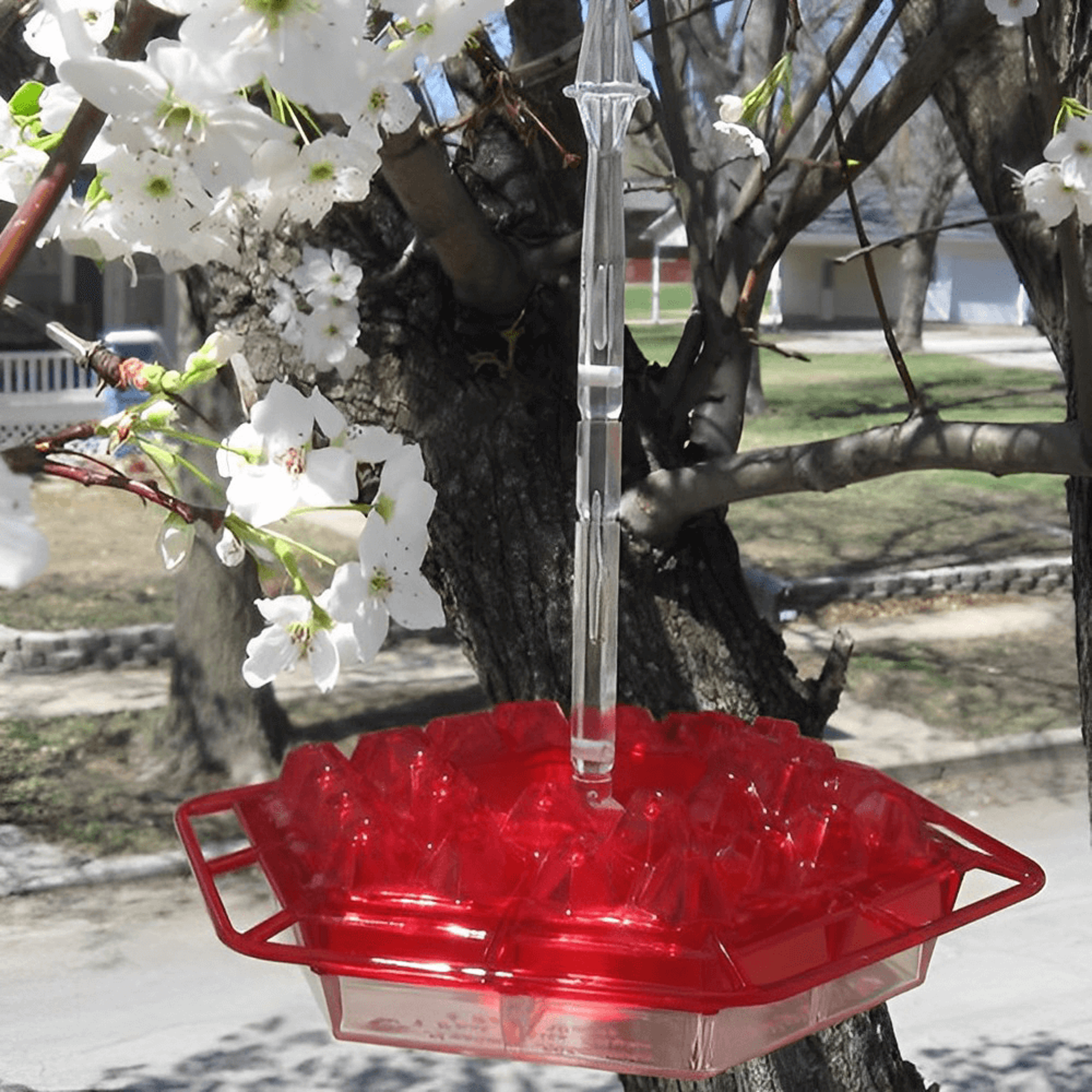 best height for hummingbird feeder