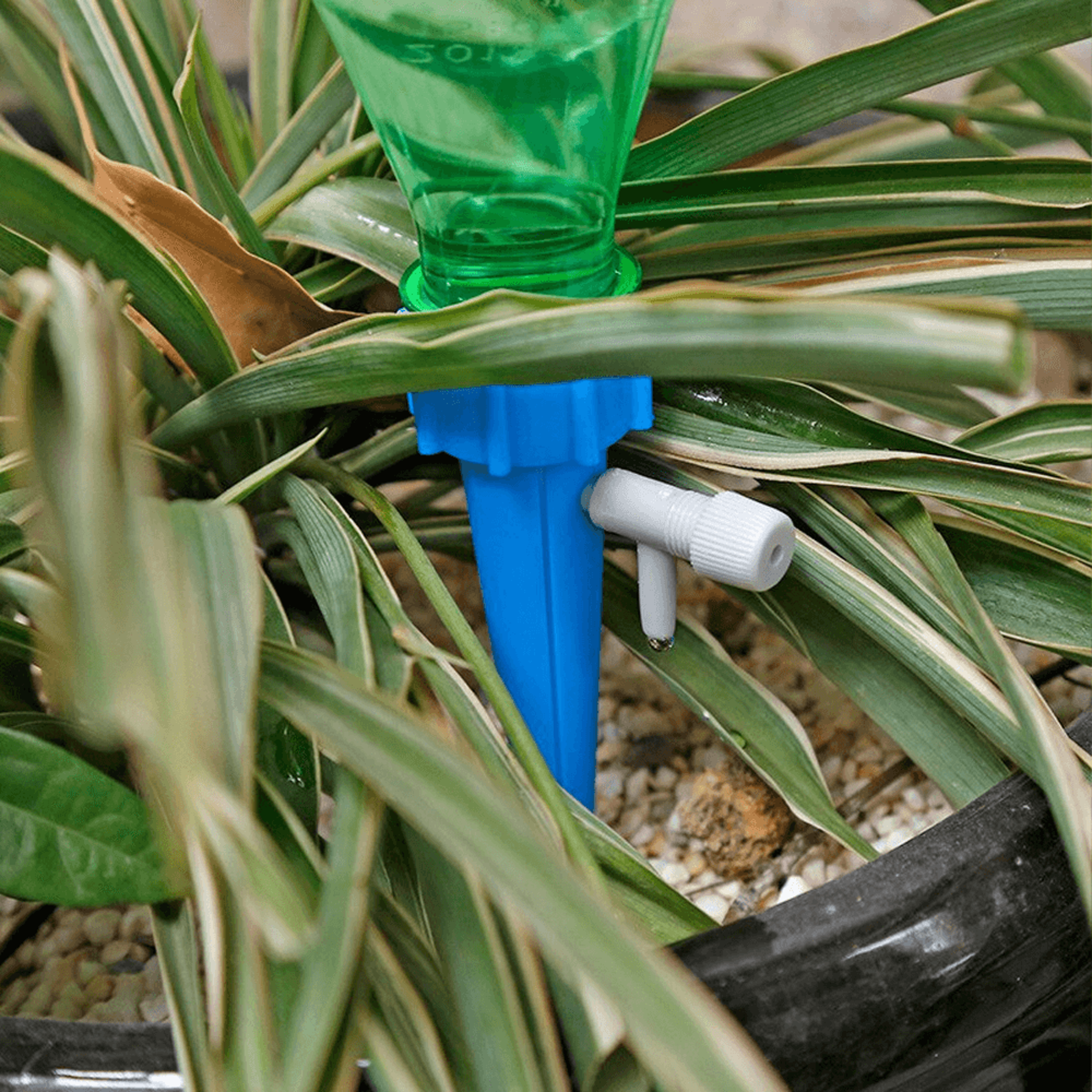plantselfwateringspikes1.png