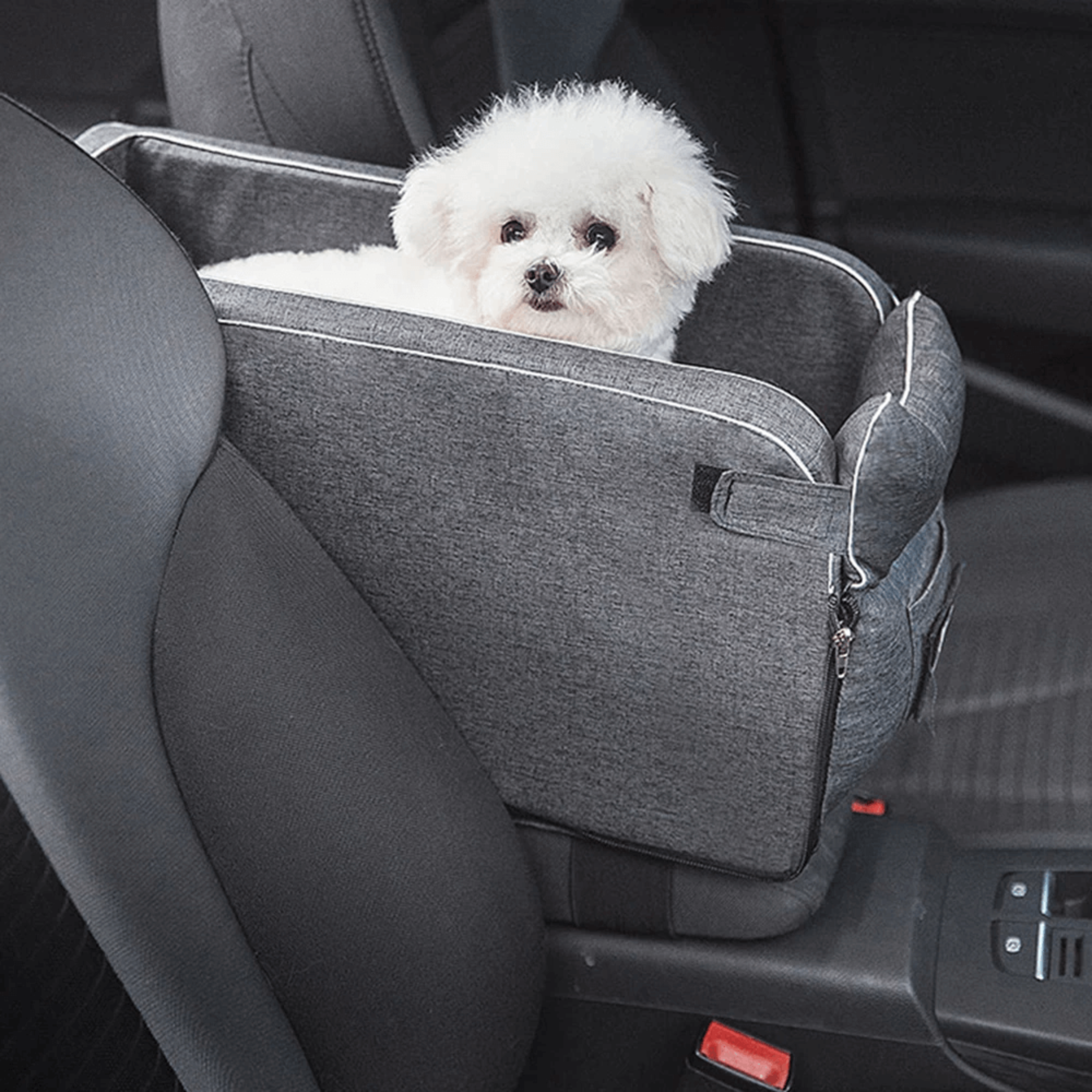 carseatforsmalldoggray.png