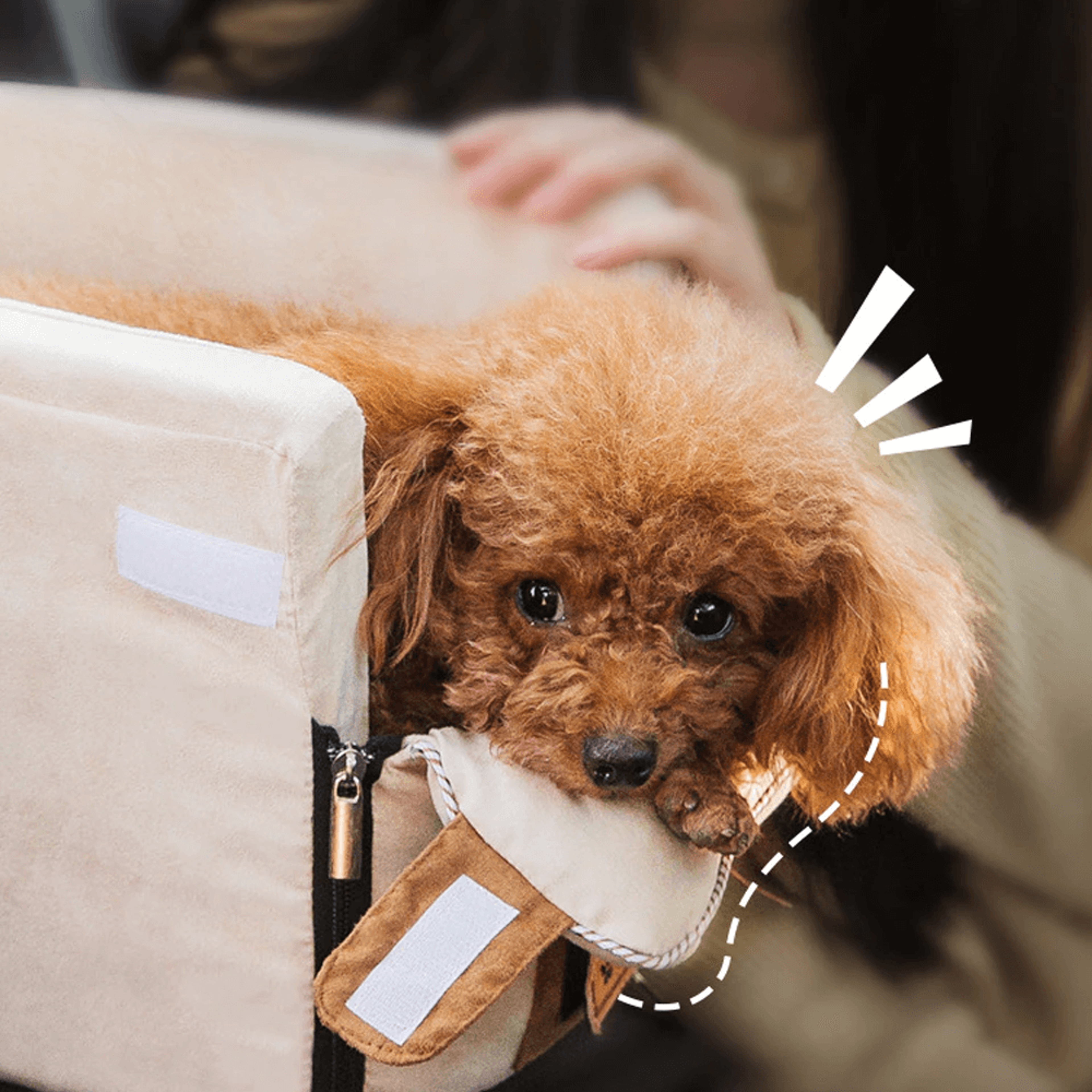 carseatforsmalldog3.png