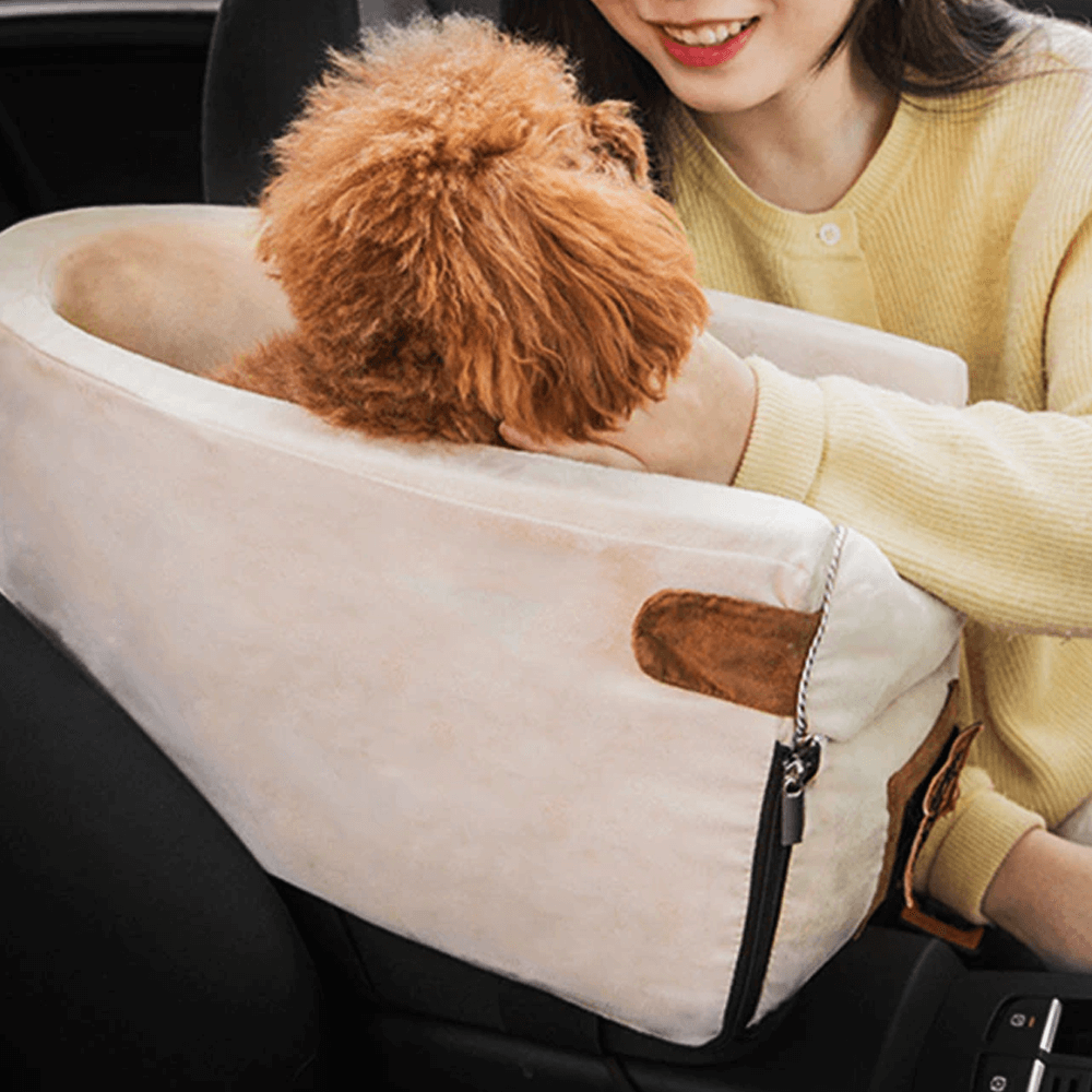 carseatforsmalldog4.png