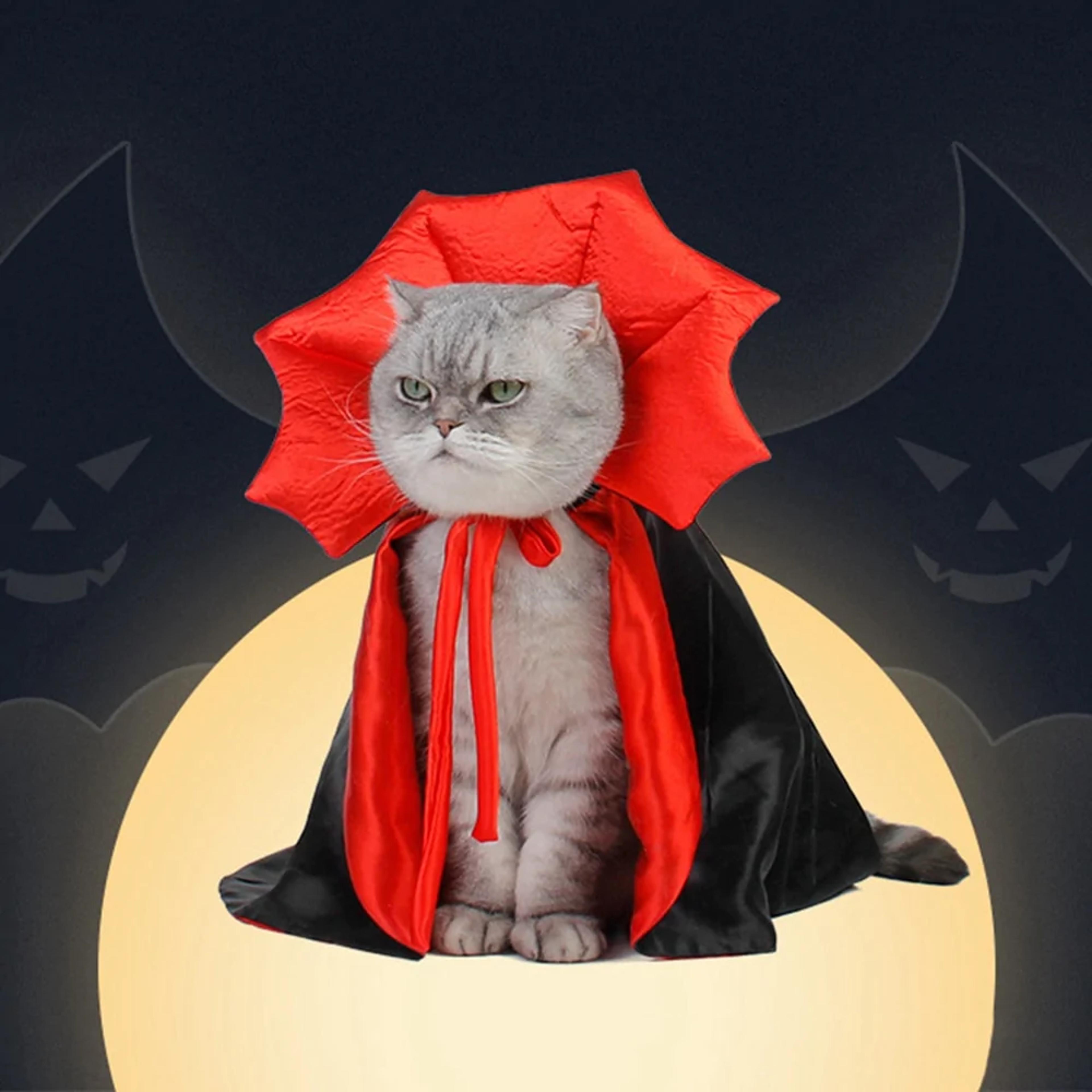 halloween cat vampire costume