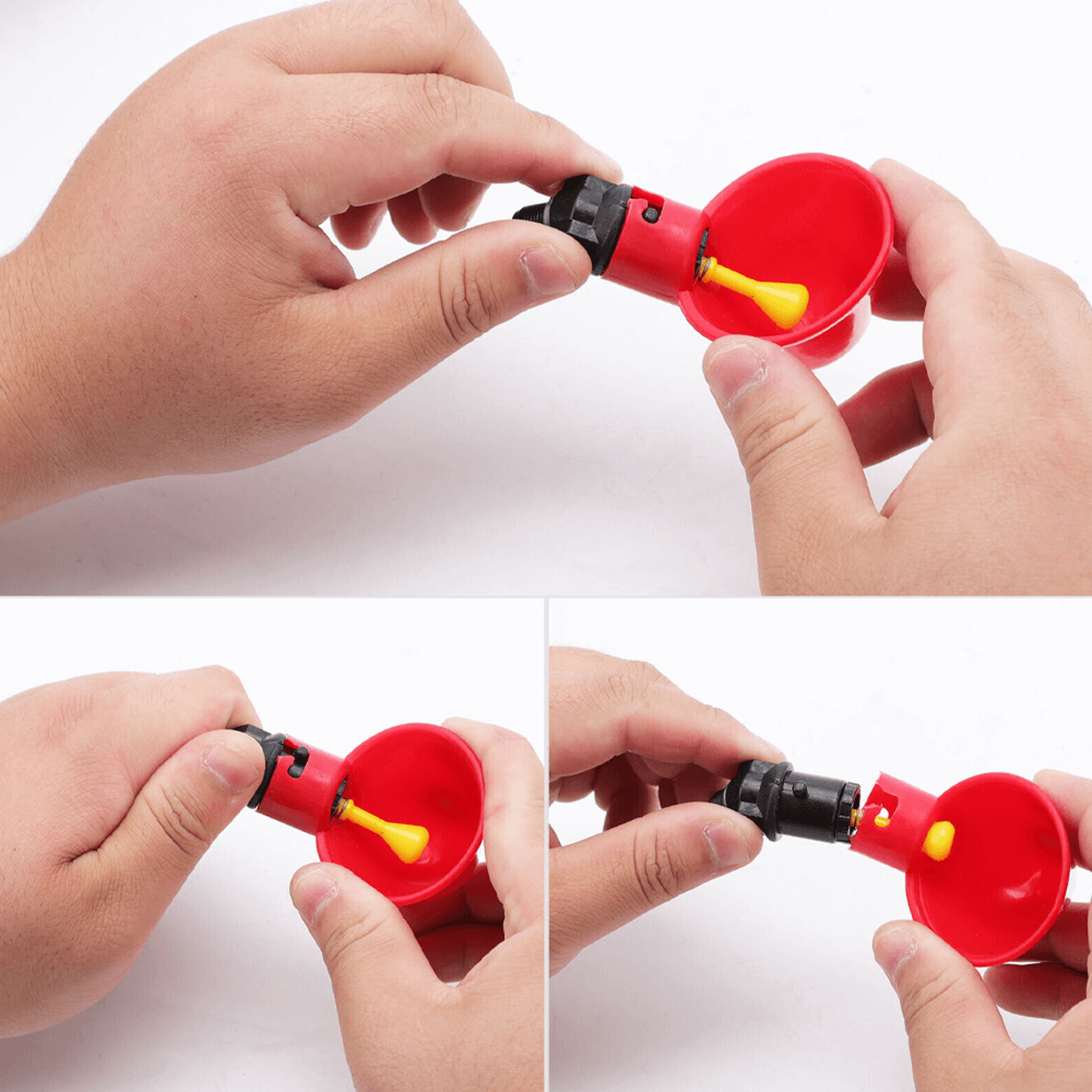 chickenwatercupspvc5png