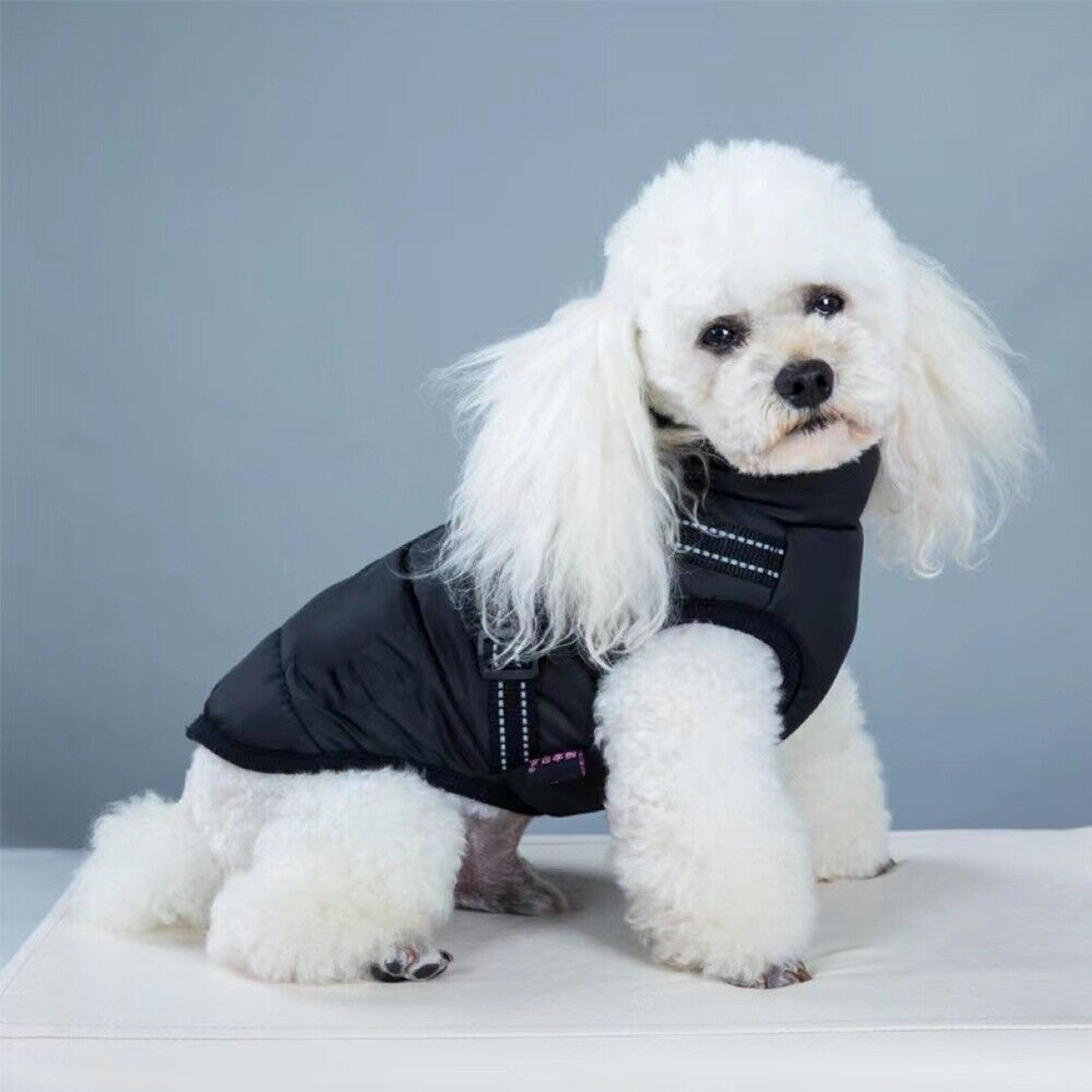 dog winter coat with built in harness