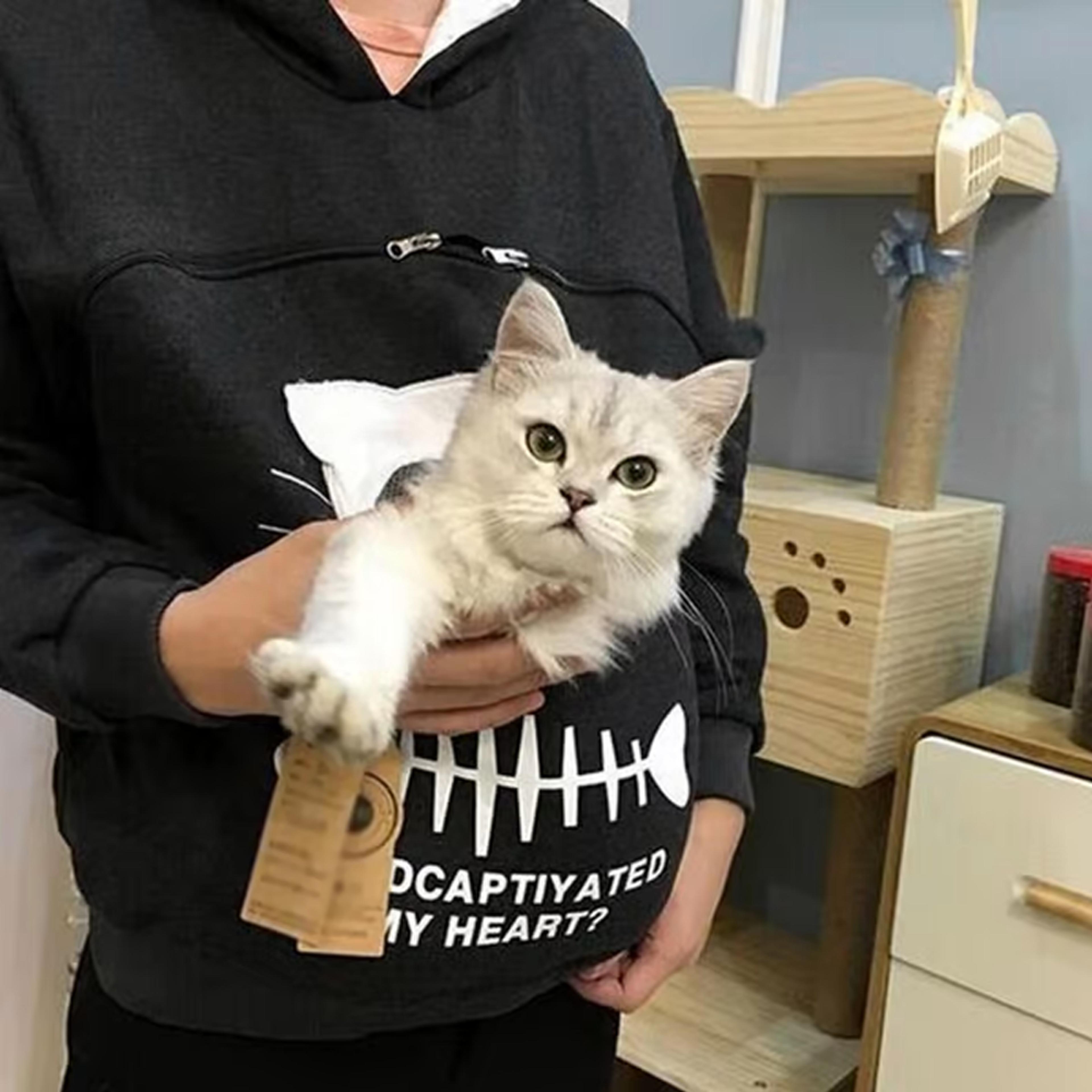 pet pouch hoodie