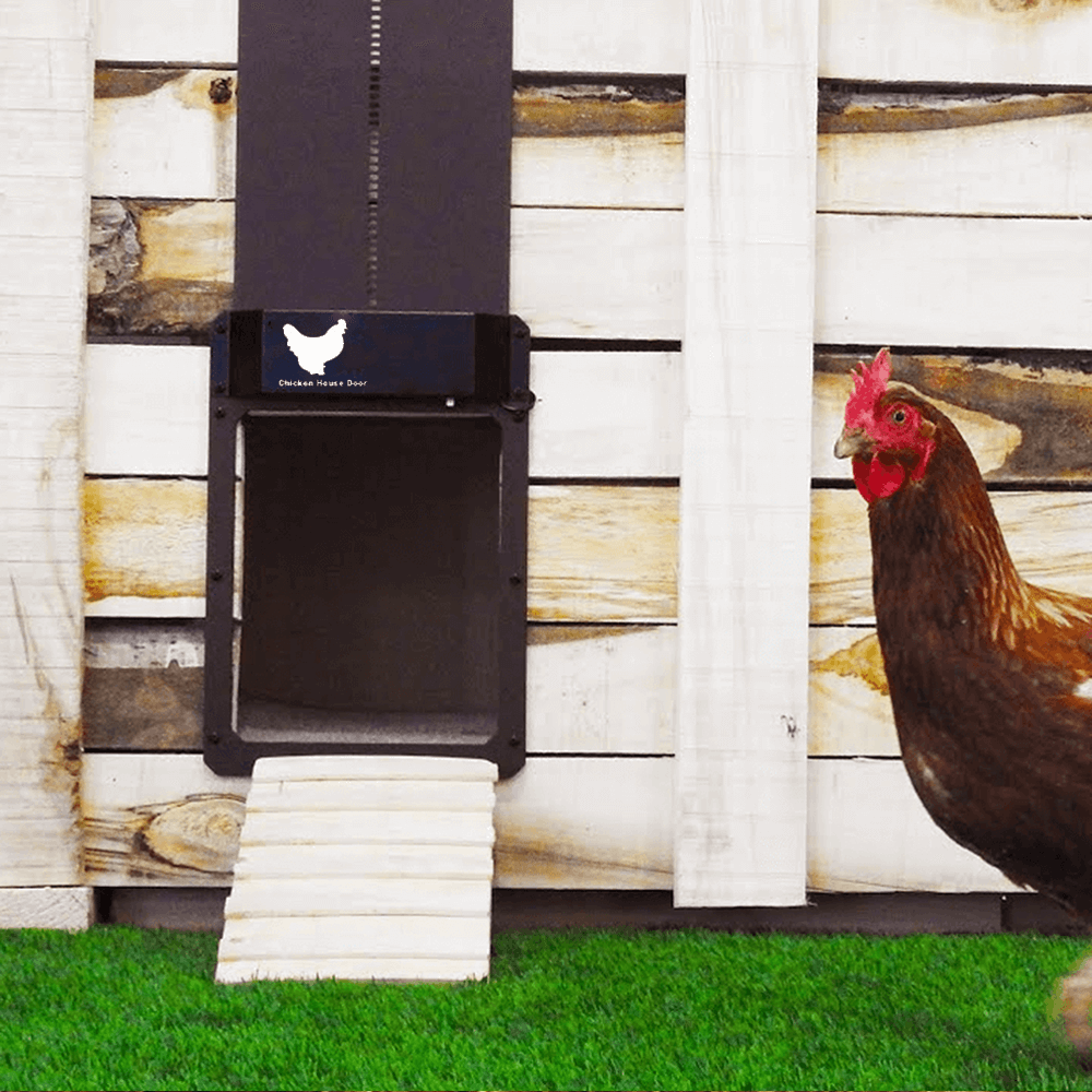 automatic chicken house door opener | chicken coop door for flock protection | light sensor chicken door