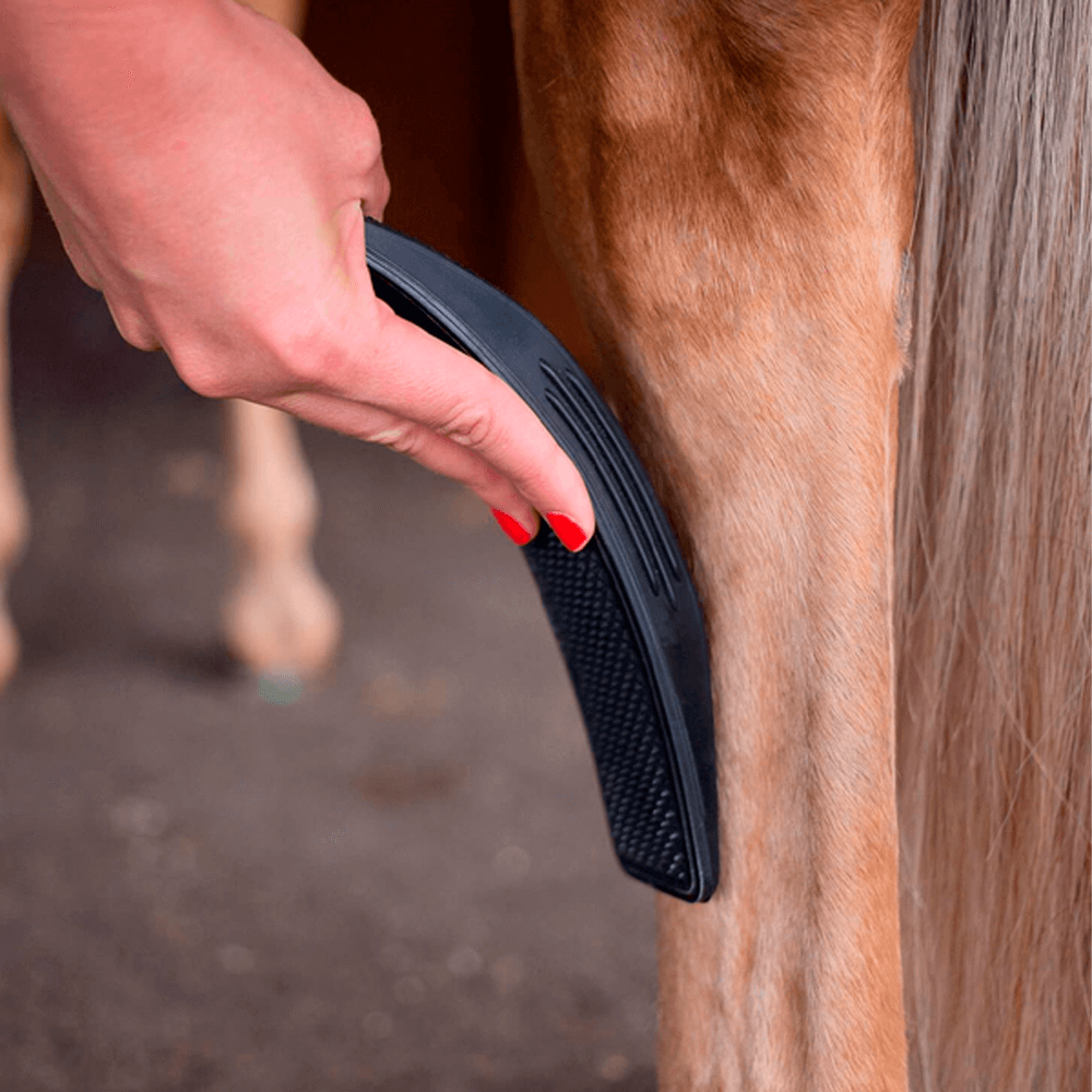6in1sheddinggroomingmassagebrush5.png