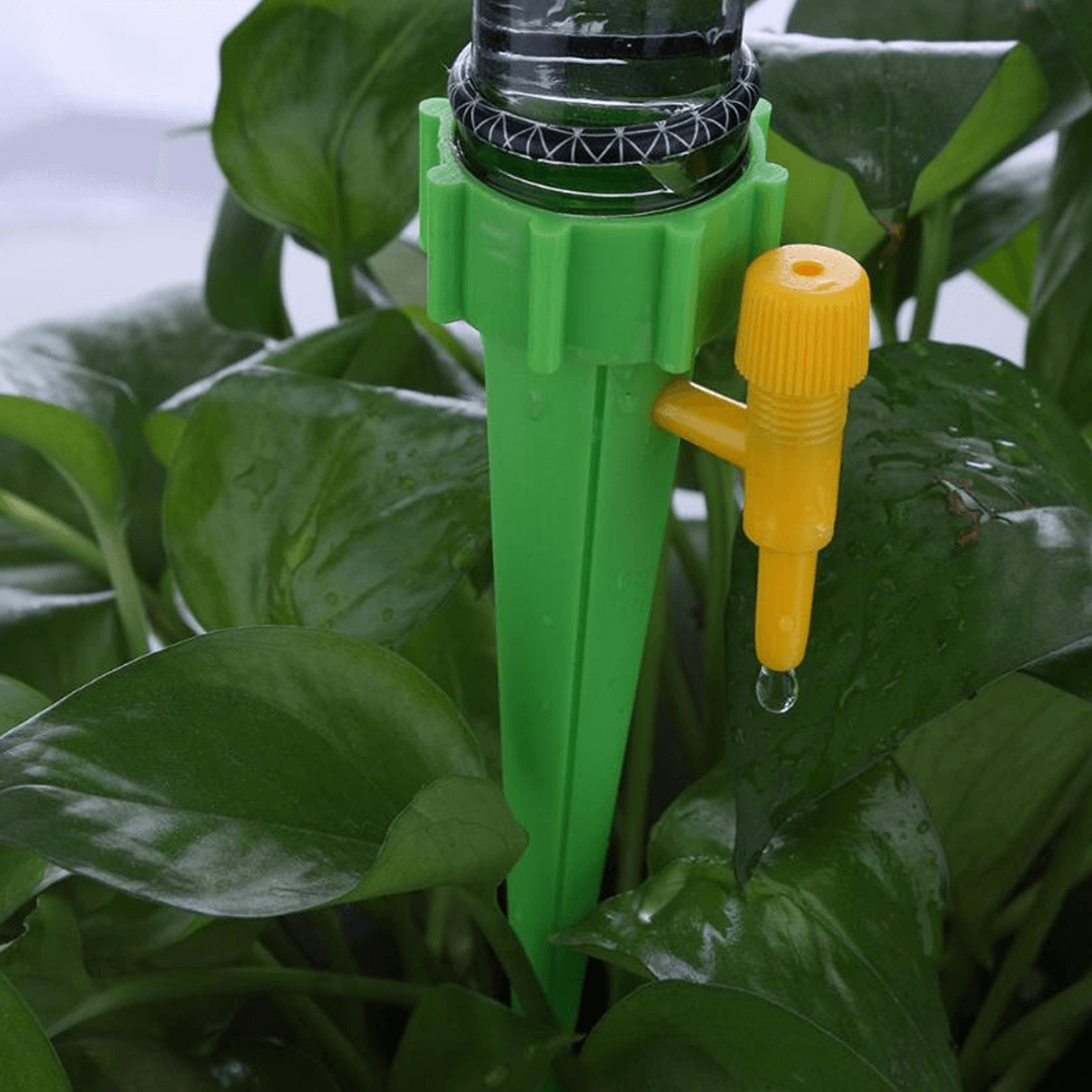 sustainableplantcaresolution2.png