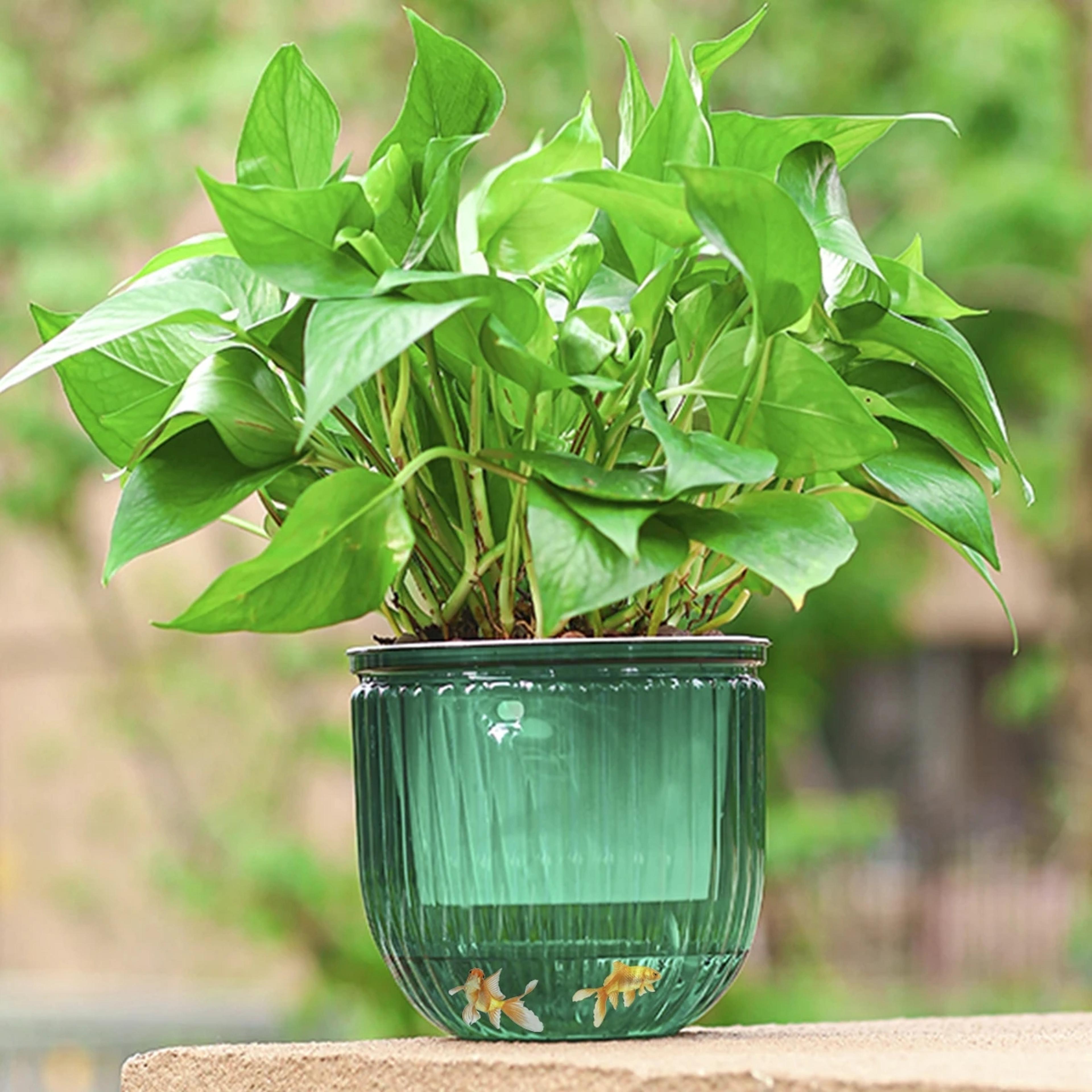 Premium Self Absorbing Hydroponic Flower Pot Thickened Hanging Planter For Indoor Gardening  Lazy C 1