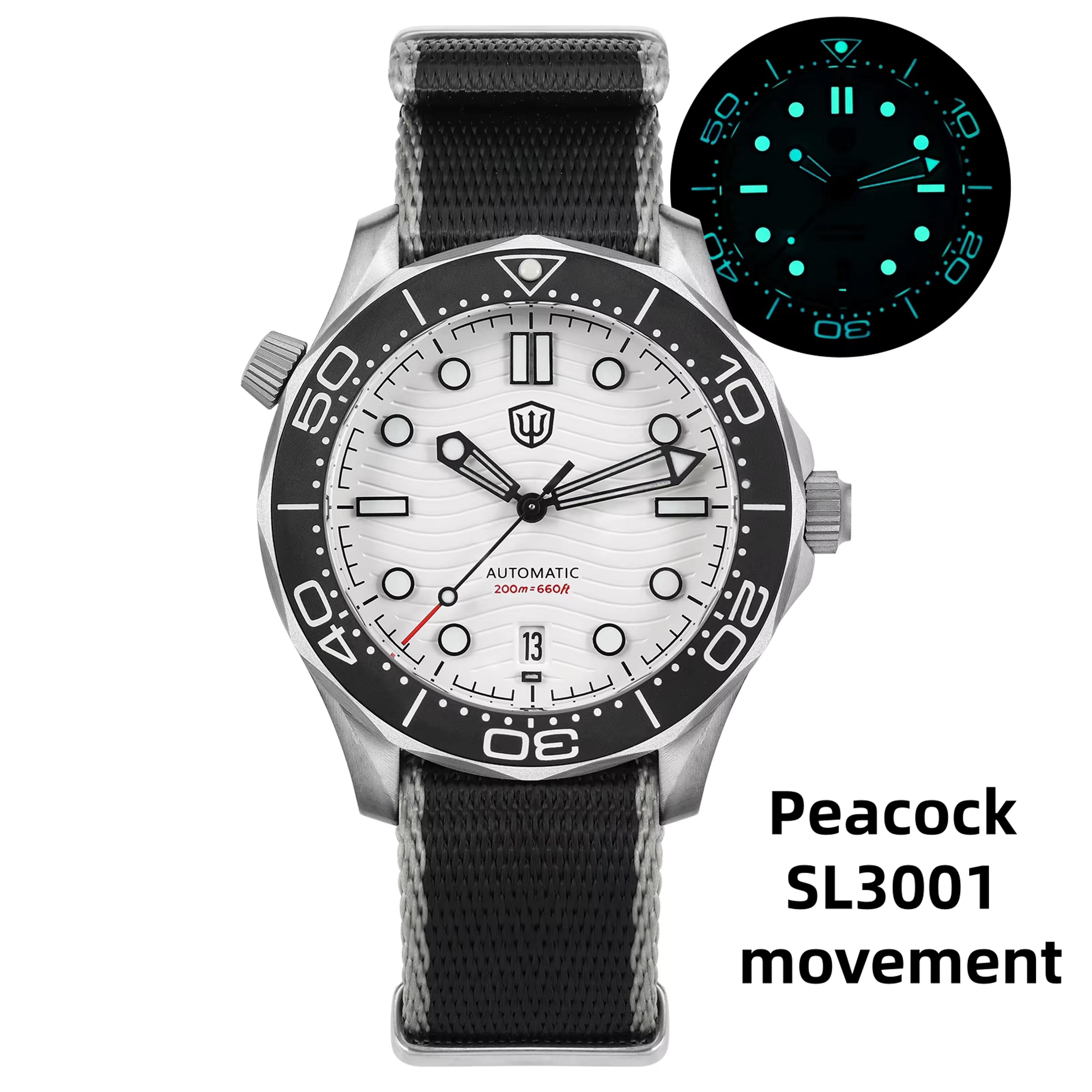 Automatic Titanium Luxury Watch With Sapphire Crystal Luminous Dial 10
