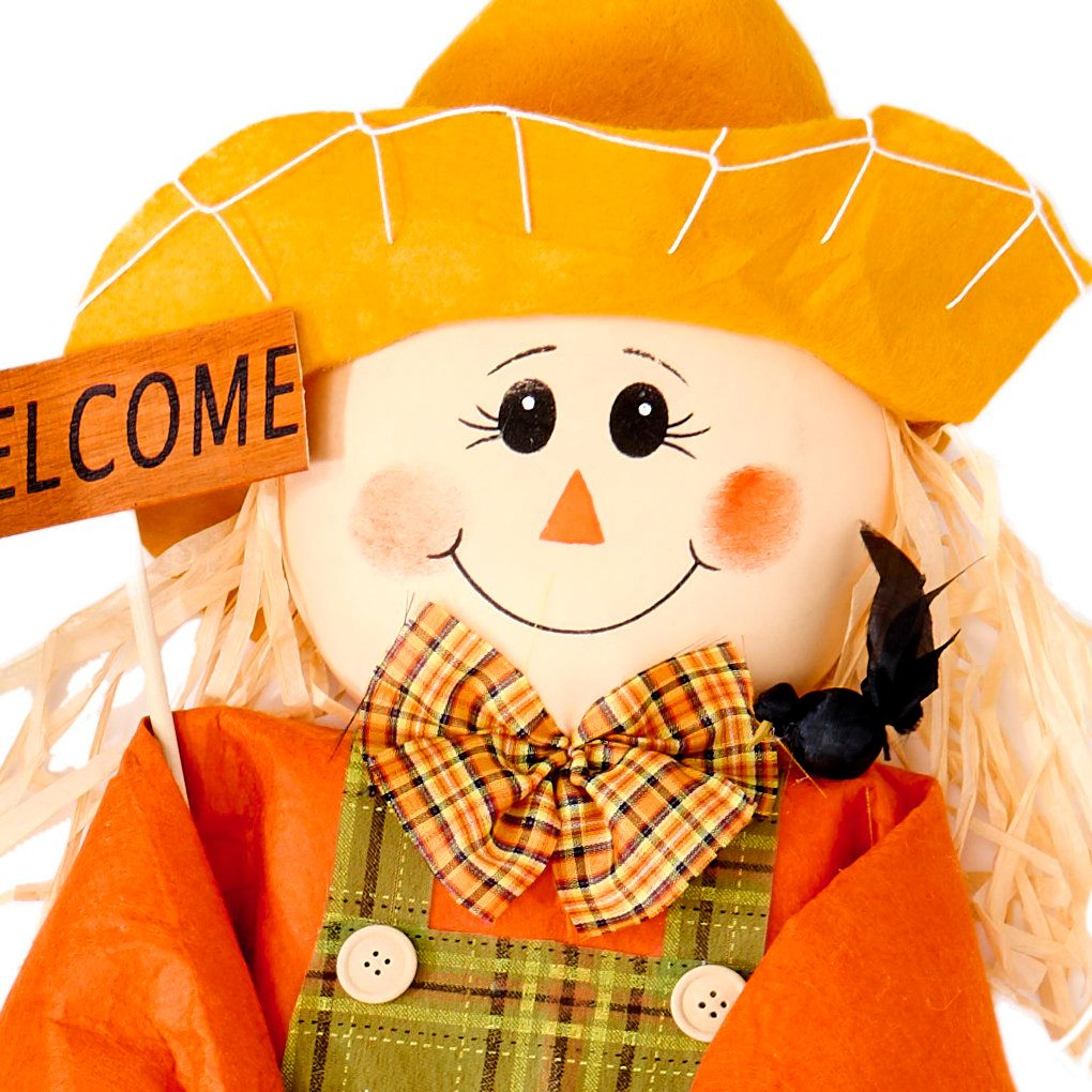 Fall Scarecrow Yard Decorations With Welcome Signs 0