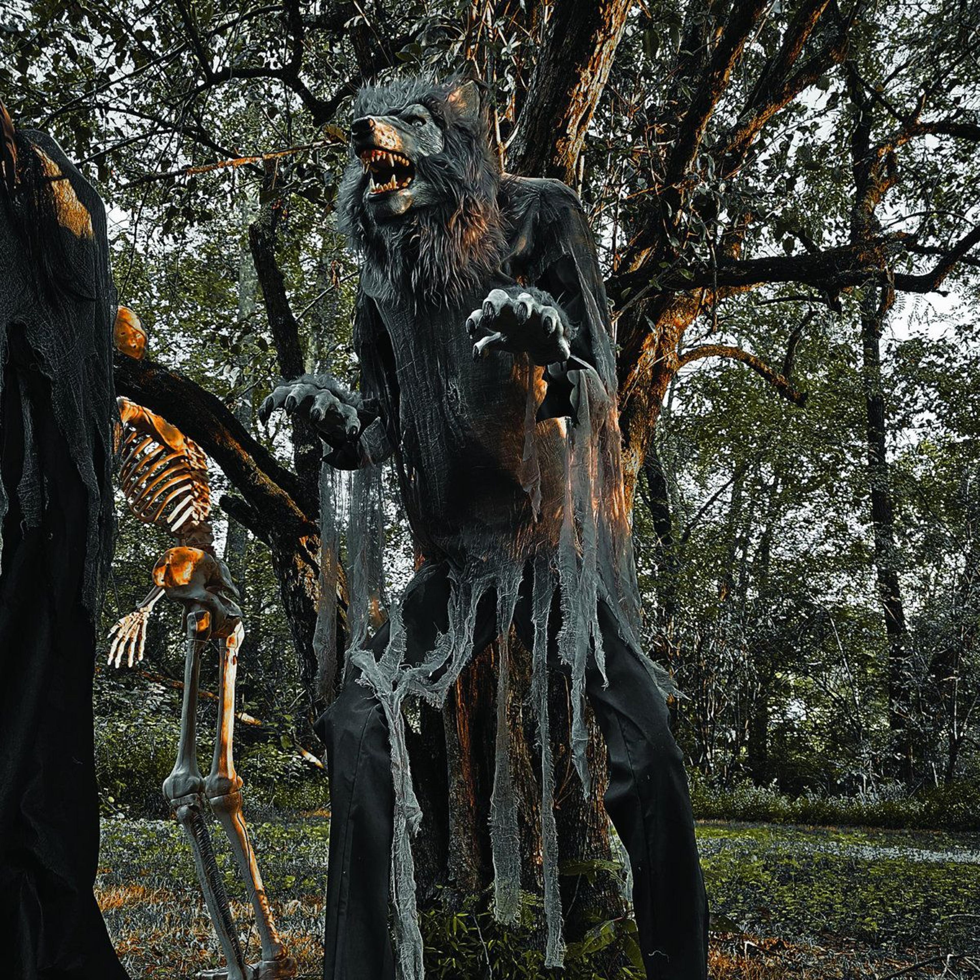 Motion Activated Werewolf Halloween Animatronic With Glowing LED Eyes 4