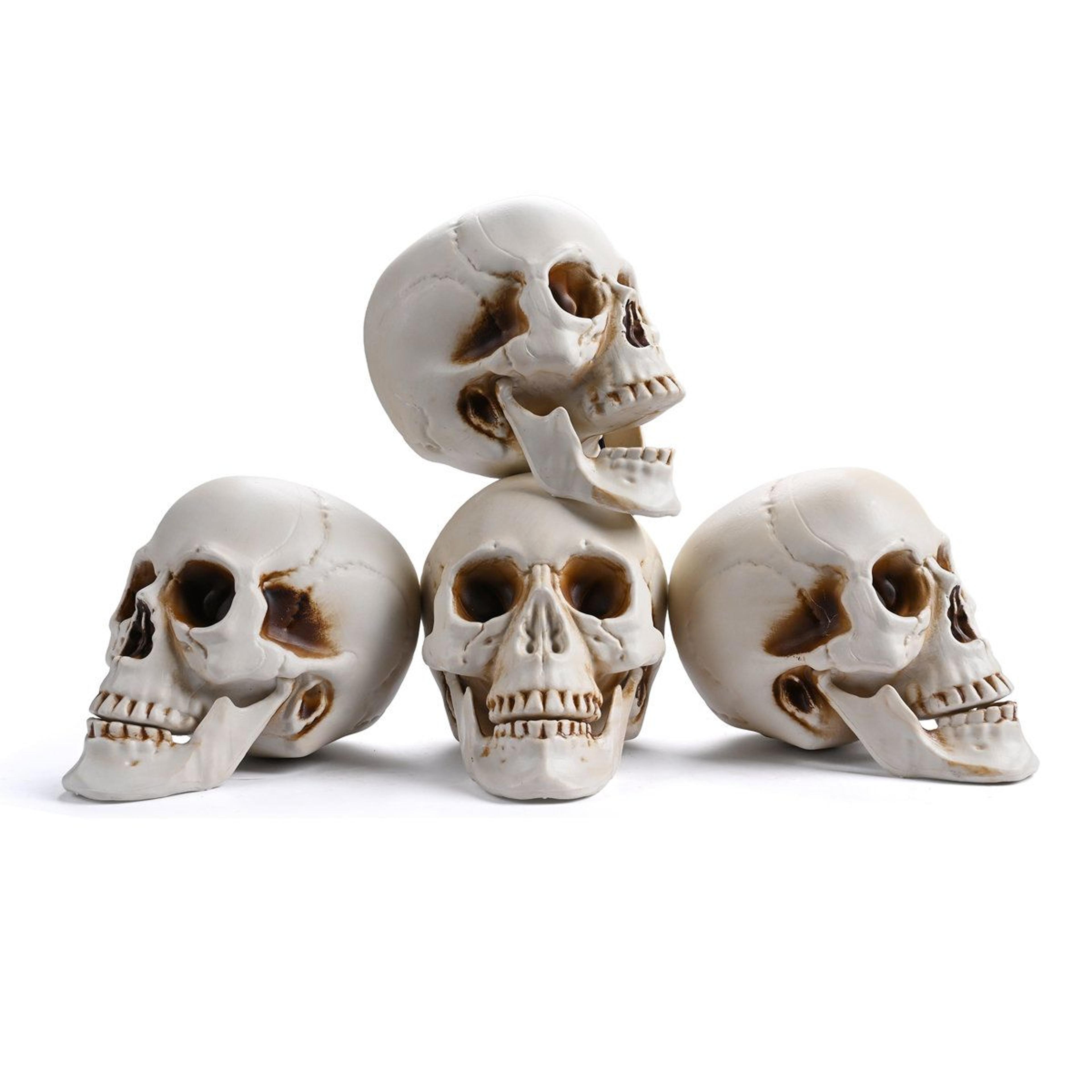 life size halloween skull decorations with moving jaw realistic human skeleton model