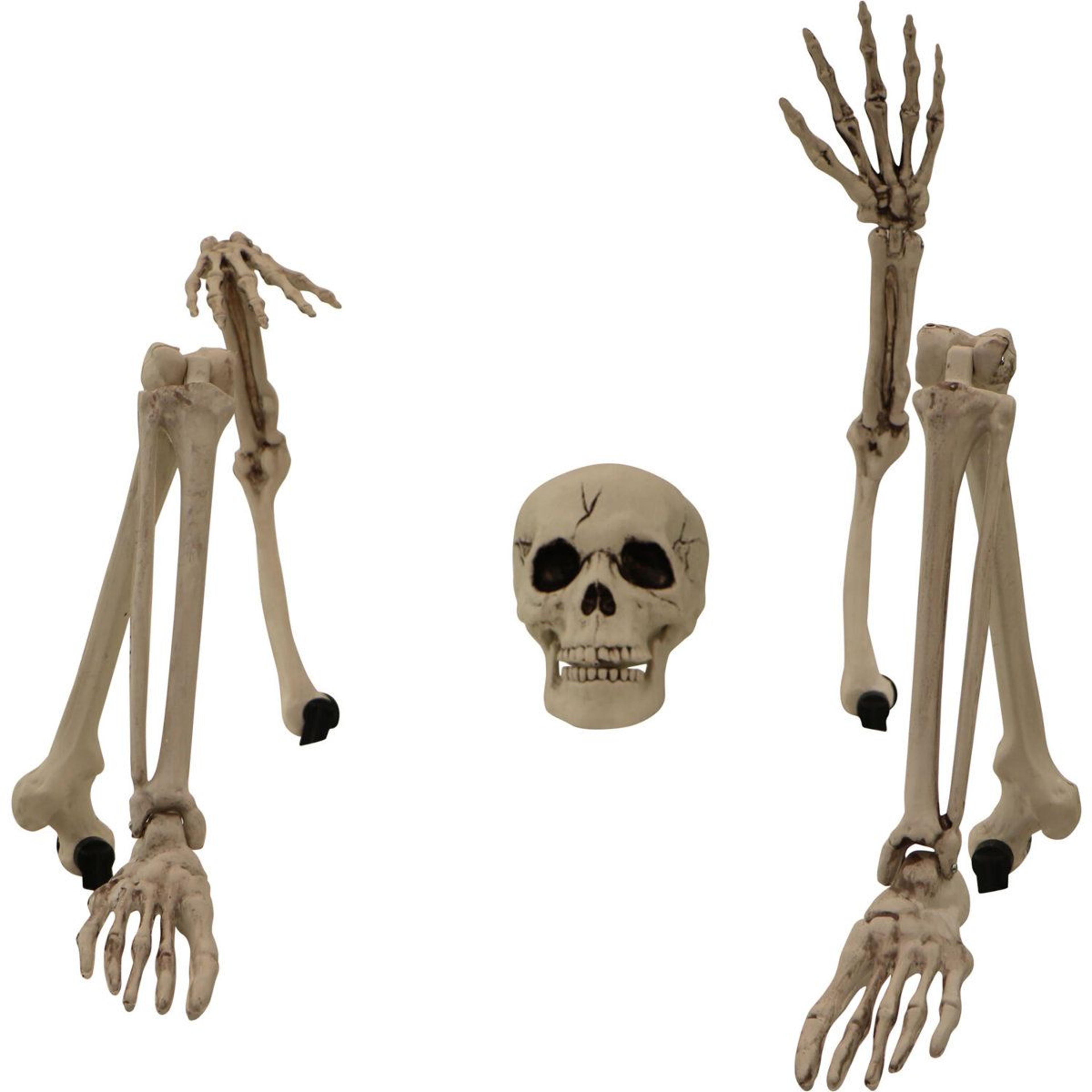 Ground Breaking Skeleton Stakes Spooky Halloween Decoration 4