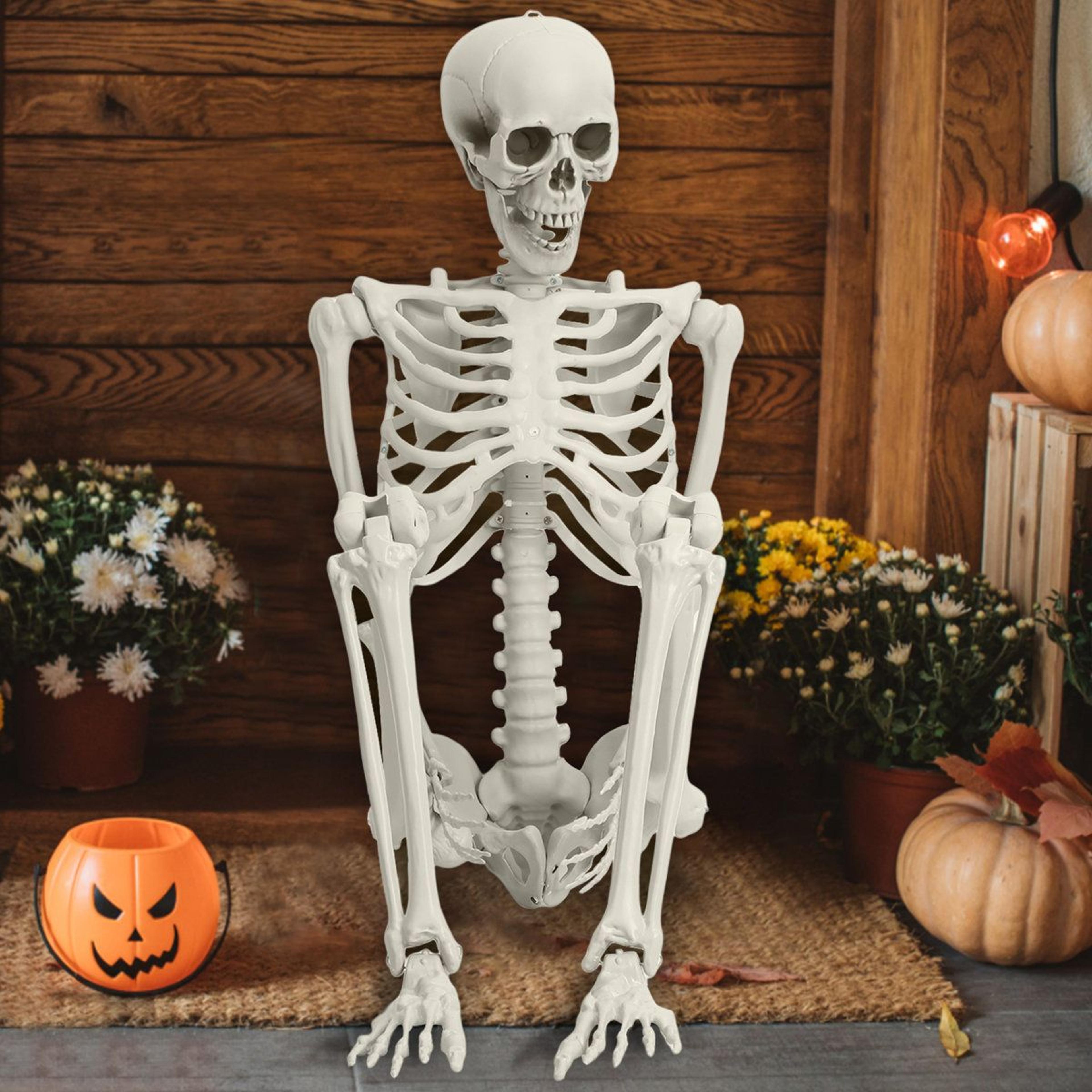 Poseable Skeleton Prop Life Size Plastic Halloween Human Bones Party Supplies 4