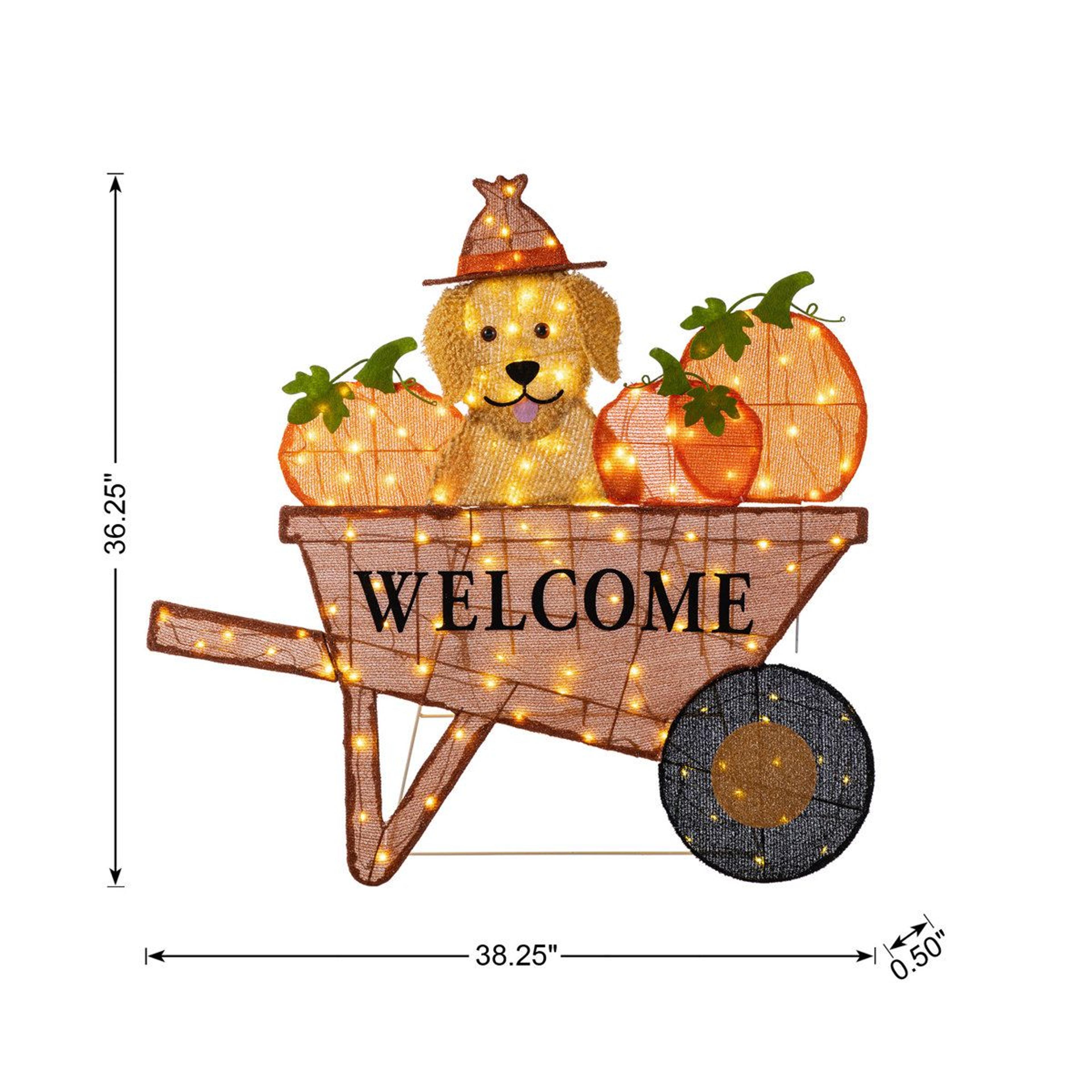 Lighted Fall Pumpkin Wheelbarrow With Labrador Dog And Warm White LED Lights 1
