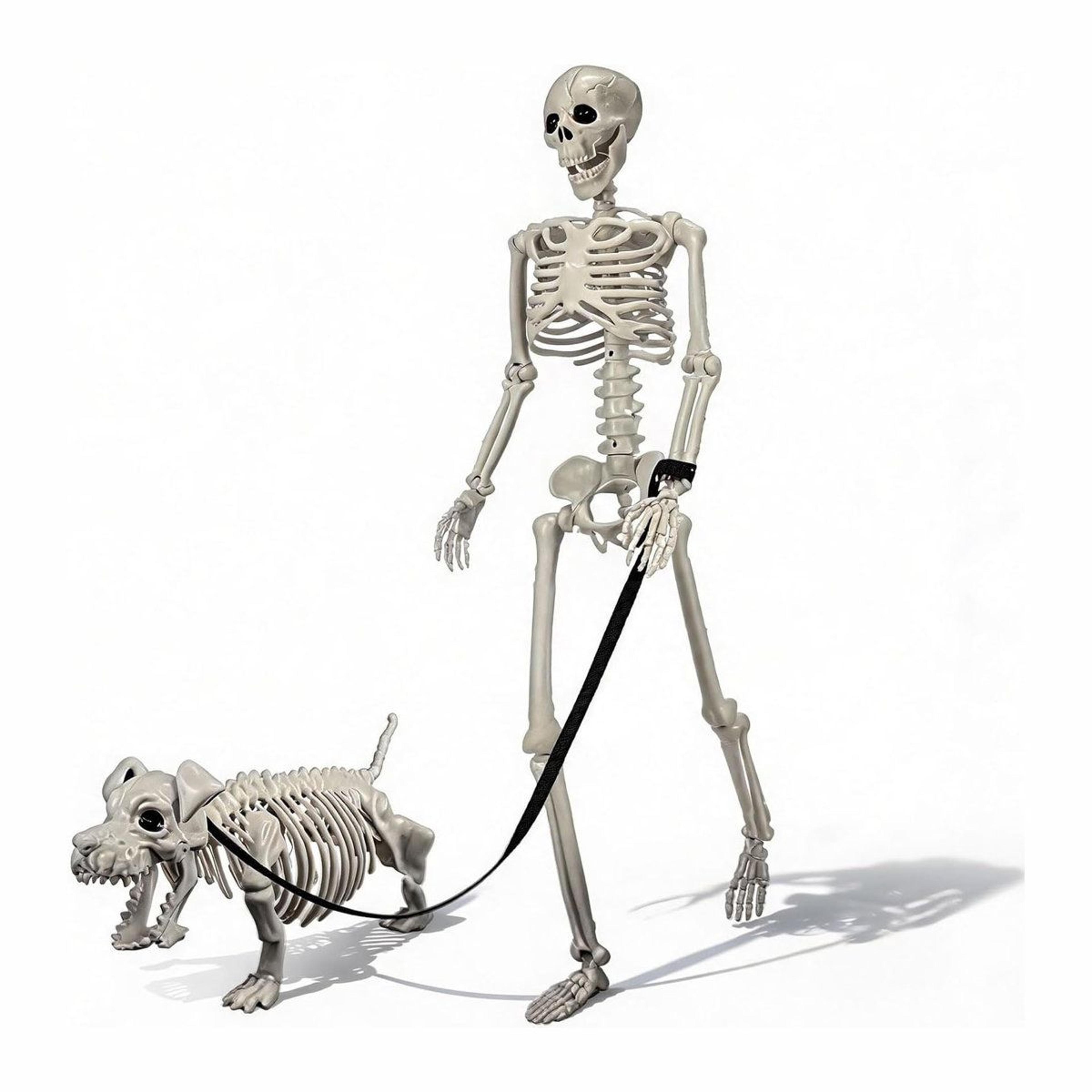 human and dog skeleton halloween decorations with posable joints