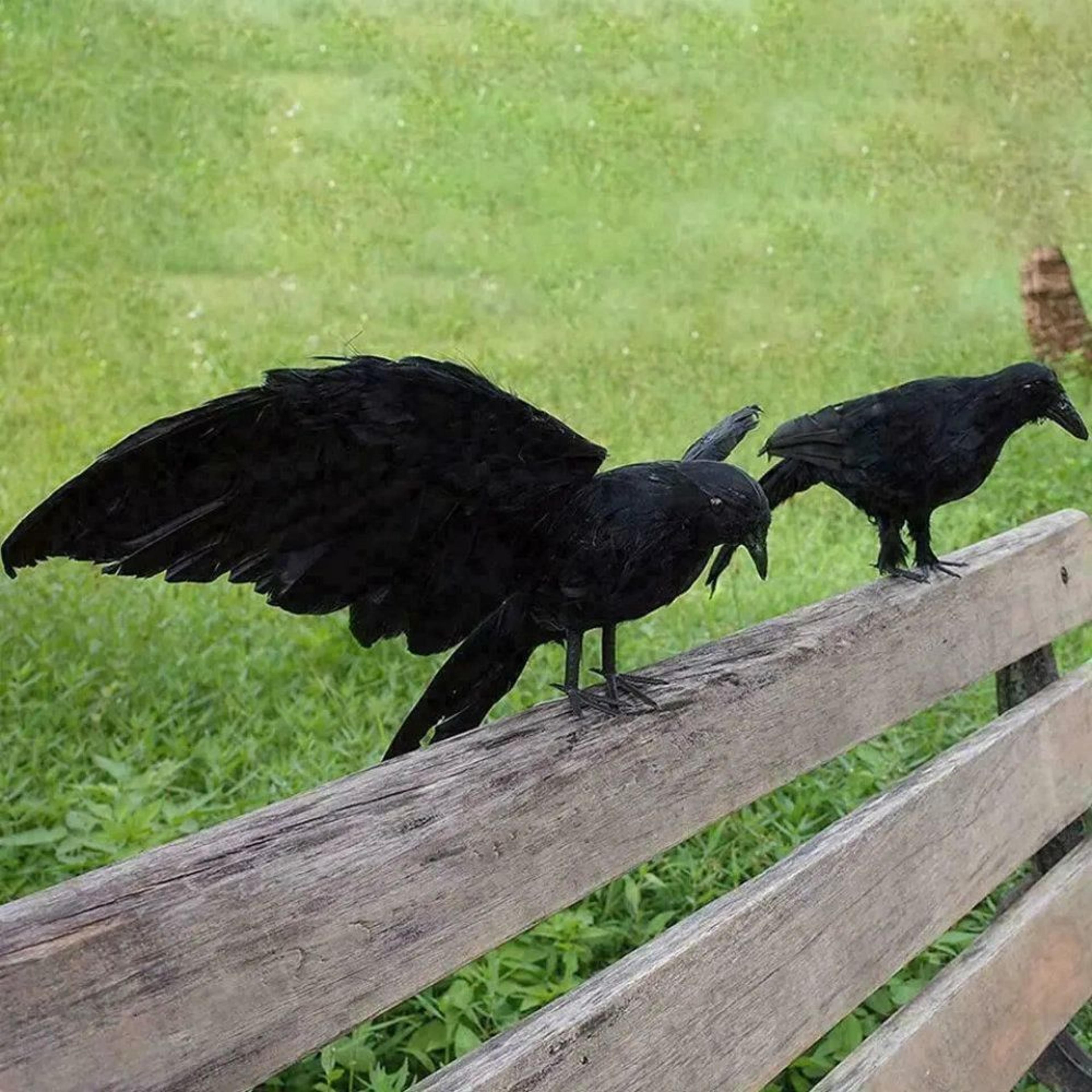 Halloween Black Crow Decorations With Feathers 2