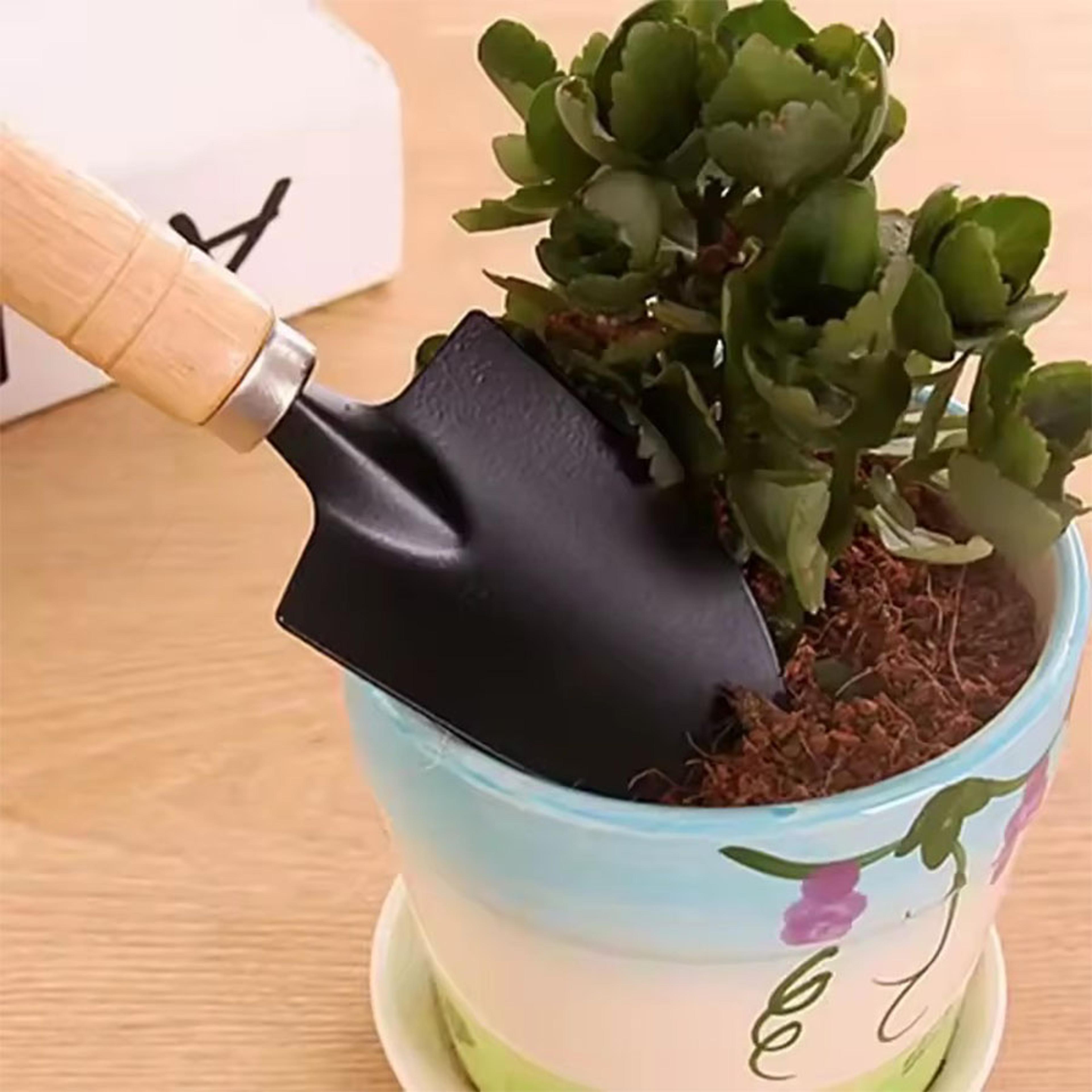 Mini Garden Tools Set For Bonsai Succulents  Indoor Plant Transplanting 4