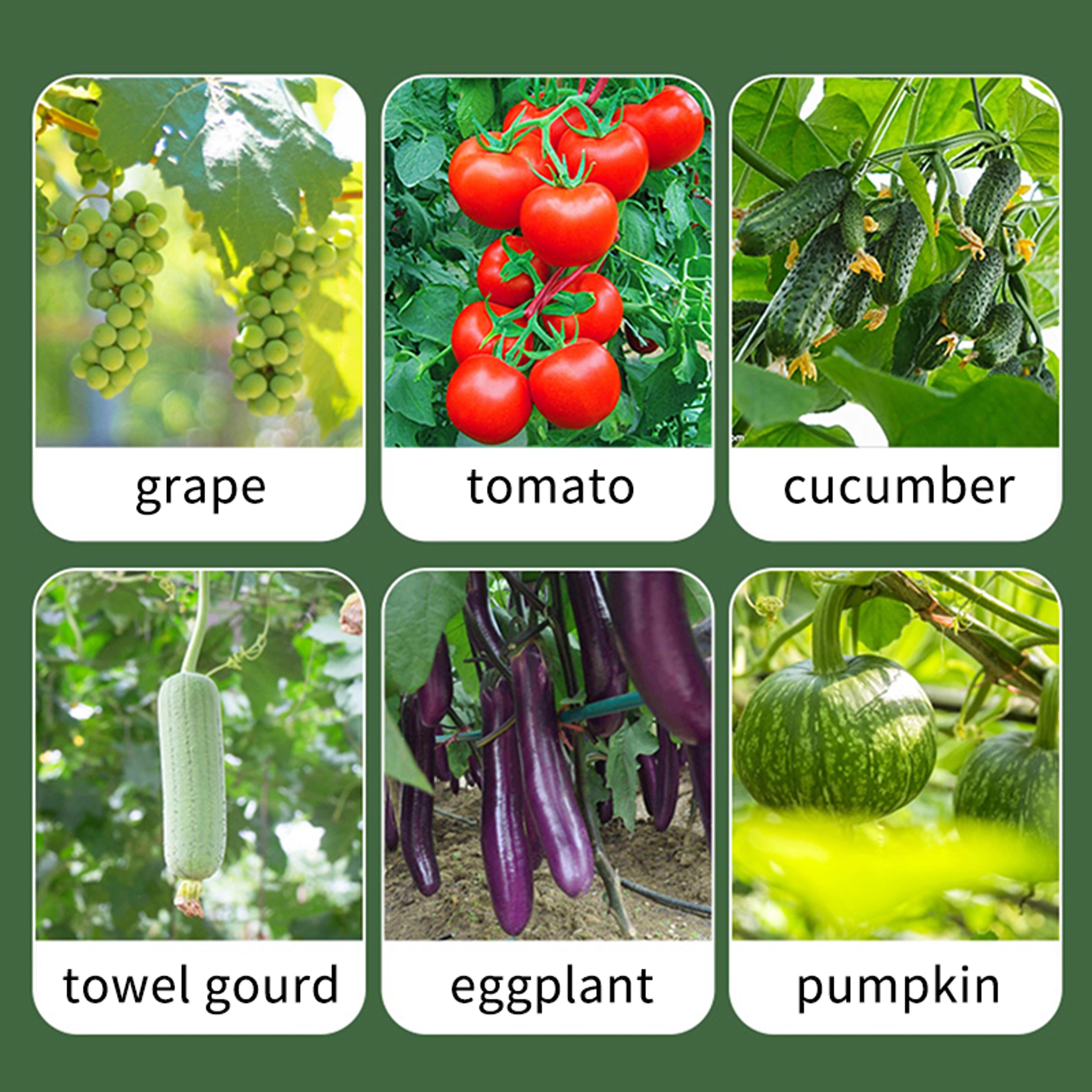 Multi Function Plant Tying Tool Vine Tapener Gun For Tomatoes Cucumbers  Grapes 4