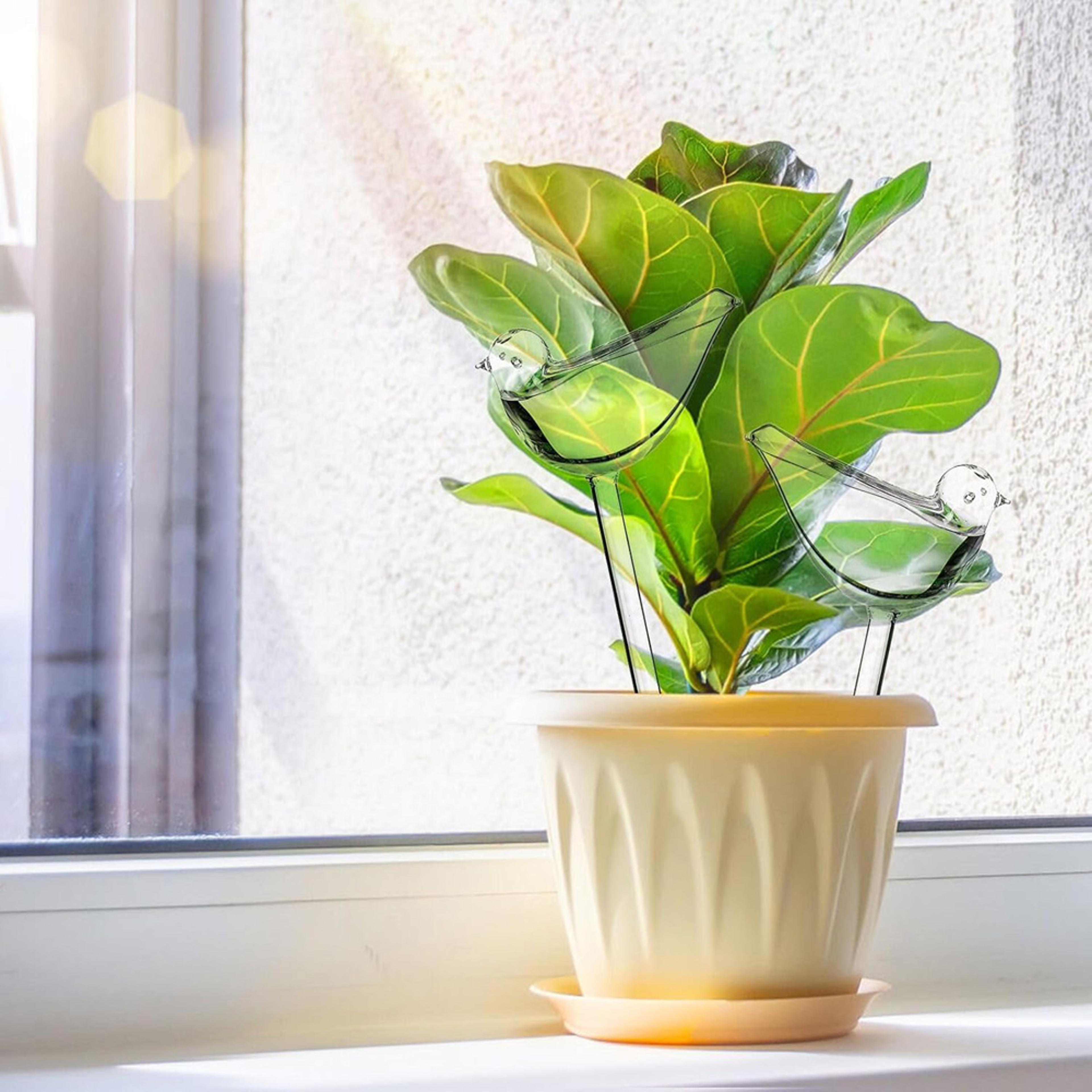 Bird Shape Self Watering Globes For Indoor Plants Automatic Plant Watering Bulbs For Potted Plants 1