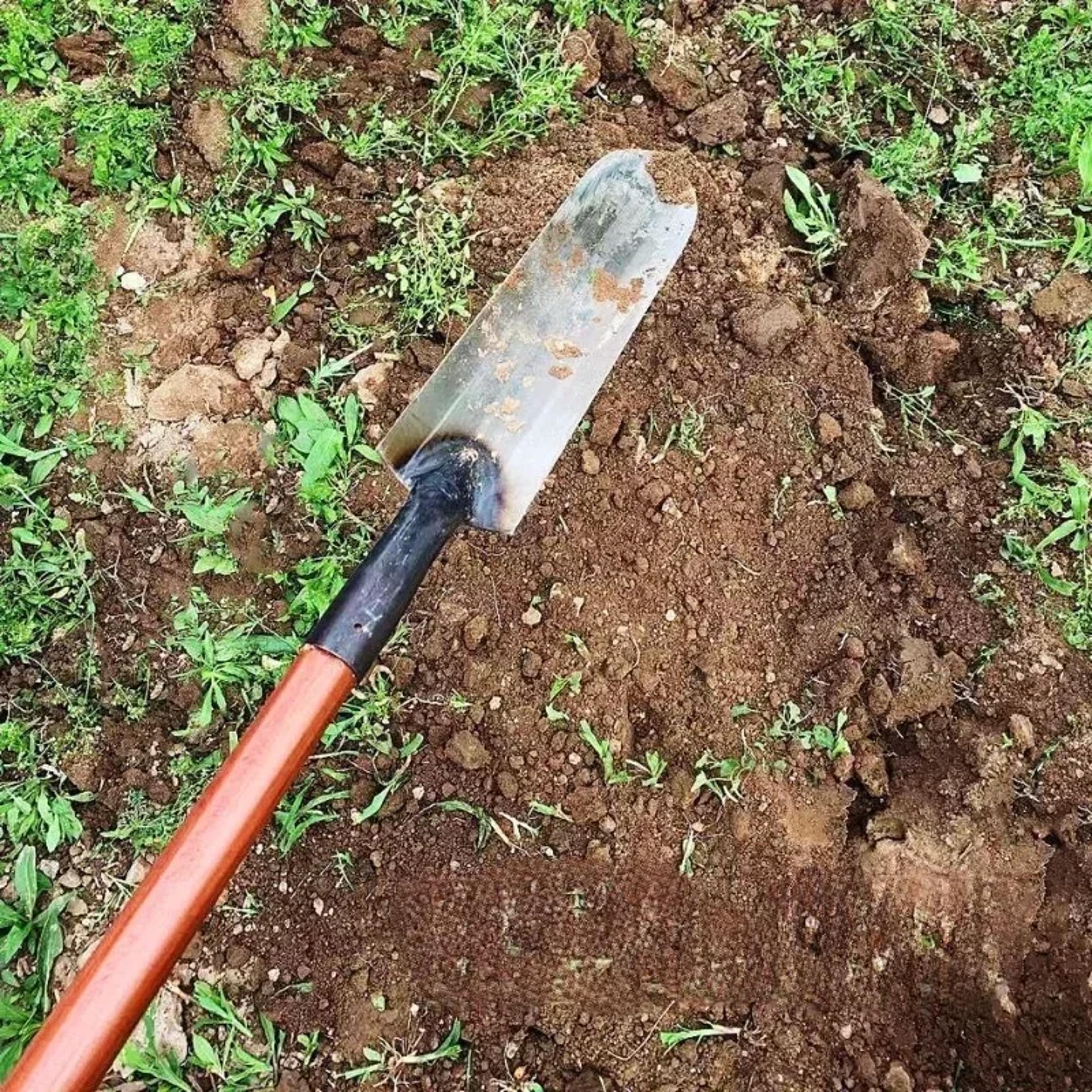 Heavy Duty Pointed Garden Shovel Carbon Steel Digging Spade For Weeding Tree Planting  Trenching 3