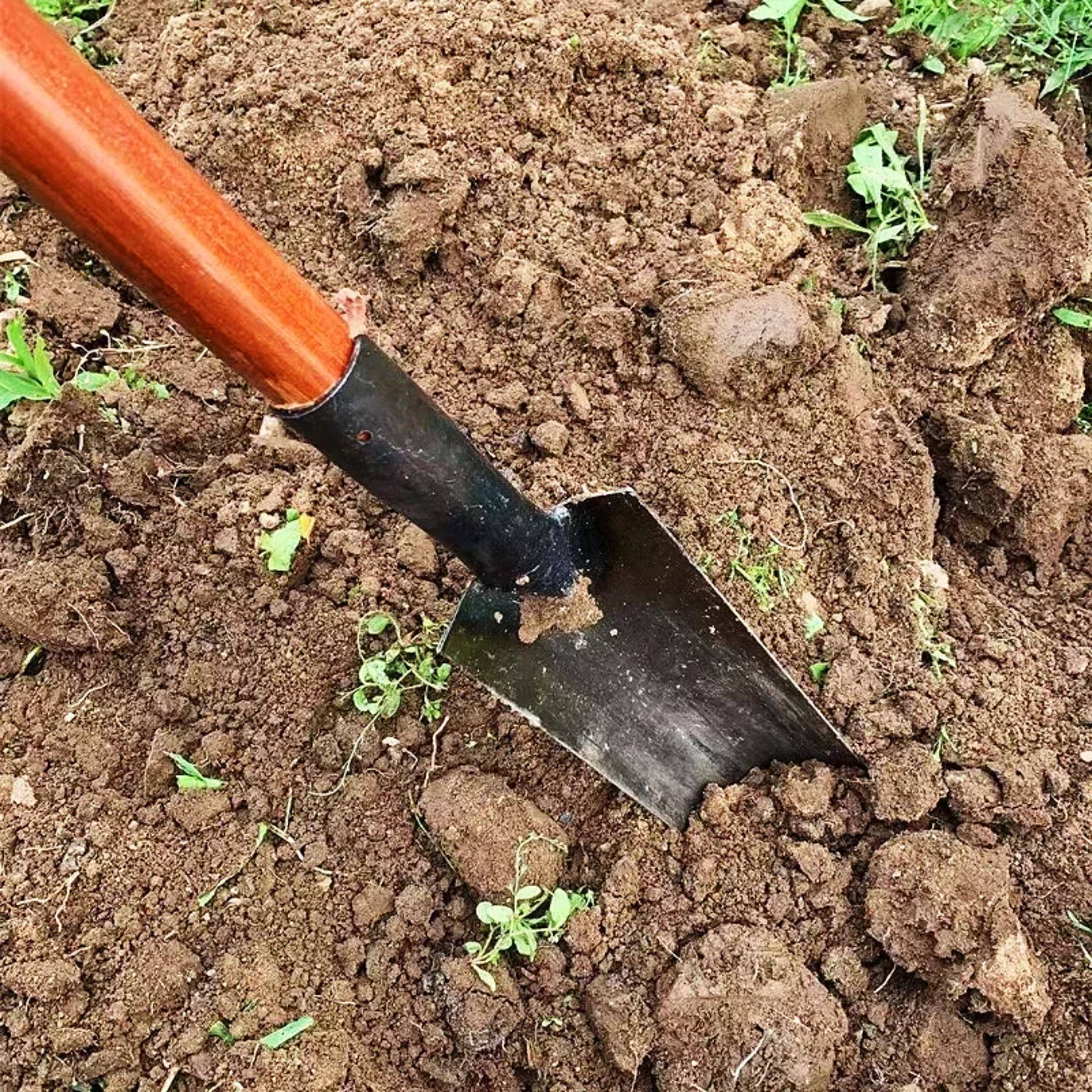 Heavy Duty Pointed Garden Shovel Carbon Steel Digging Spade For Weeding Tree Planting  Trenching 4