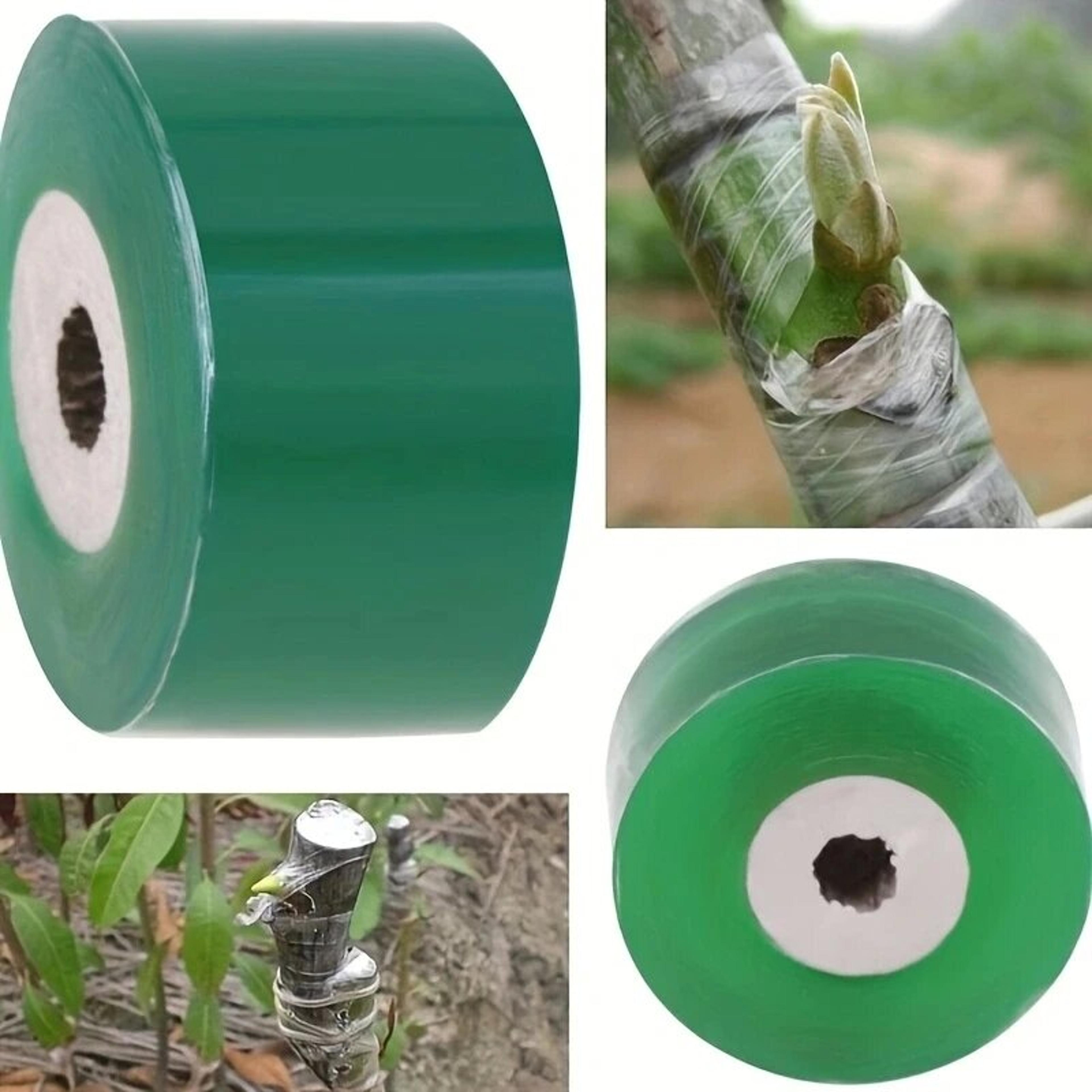 SelfAdhesive PE Grafting Tape Stretchable Garden Tree Plants Tape for Seedlings Vine  Tomato Graf