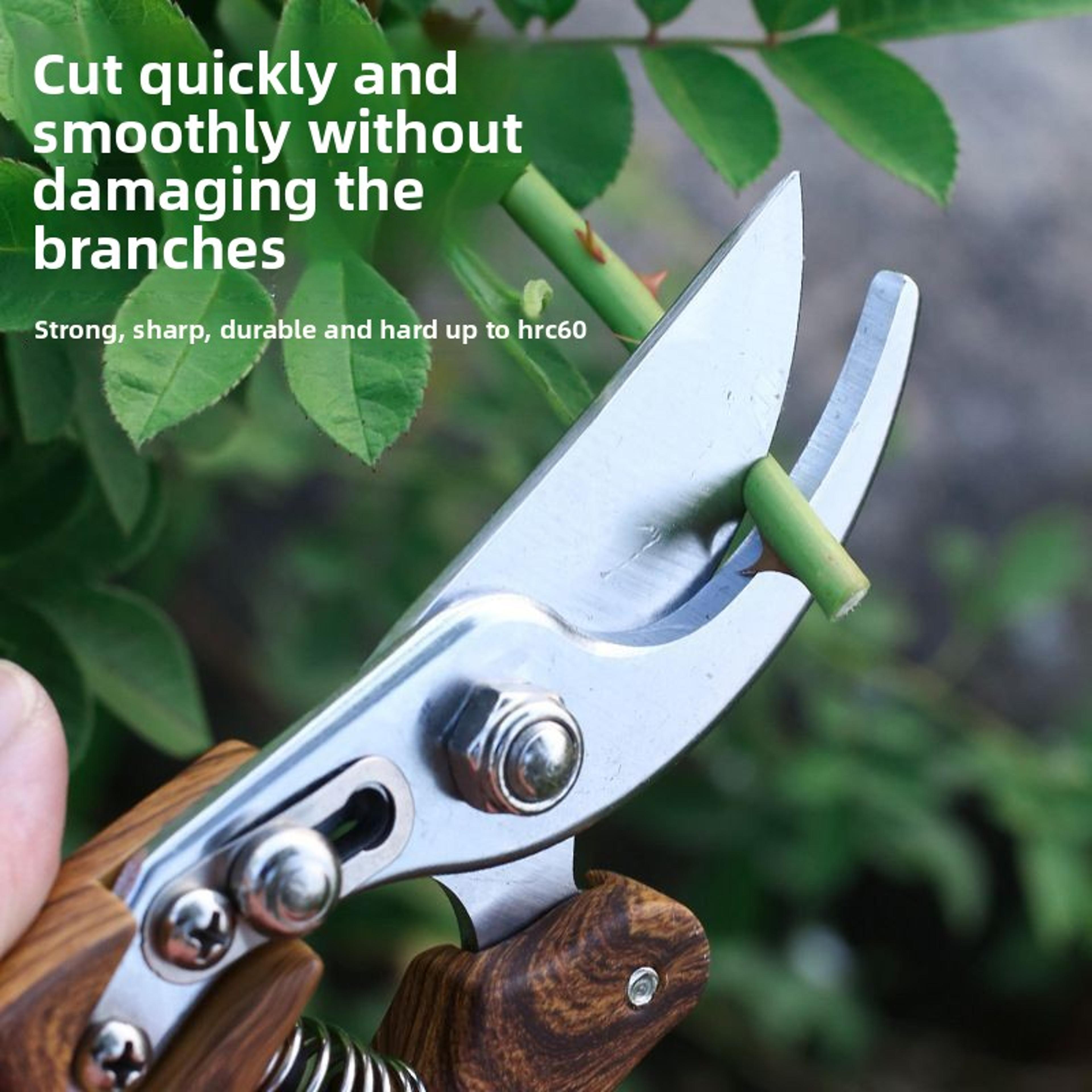 SK5 Steel Heavy Duty Pruning Shears For Fruit Trees Flowers  Thick Branches 3