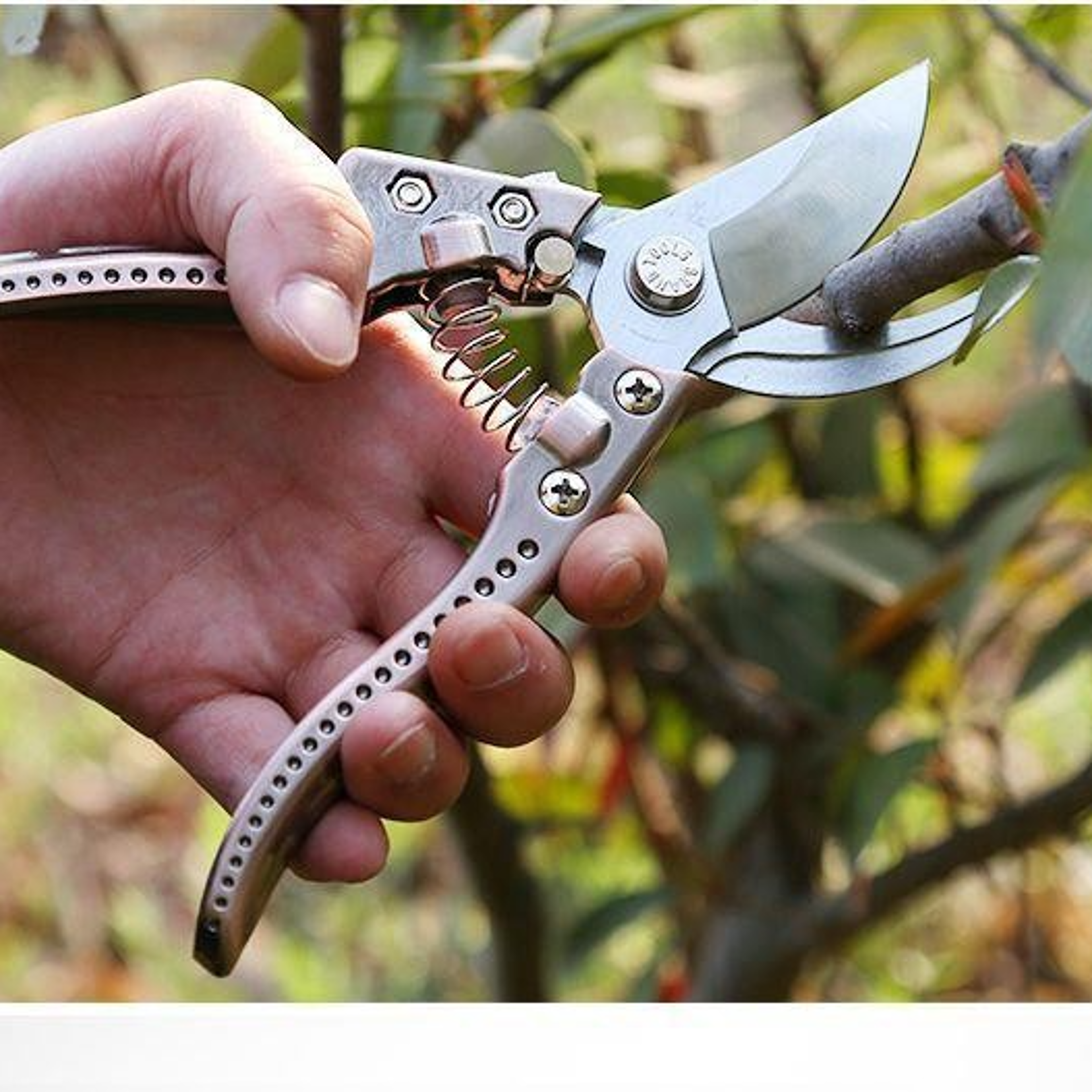 sk5 steel heavy duty pruning shears for fruit trees, flowers & thick branches