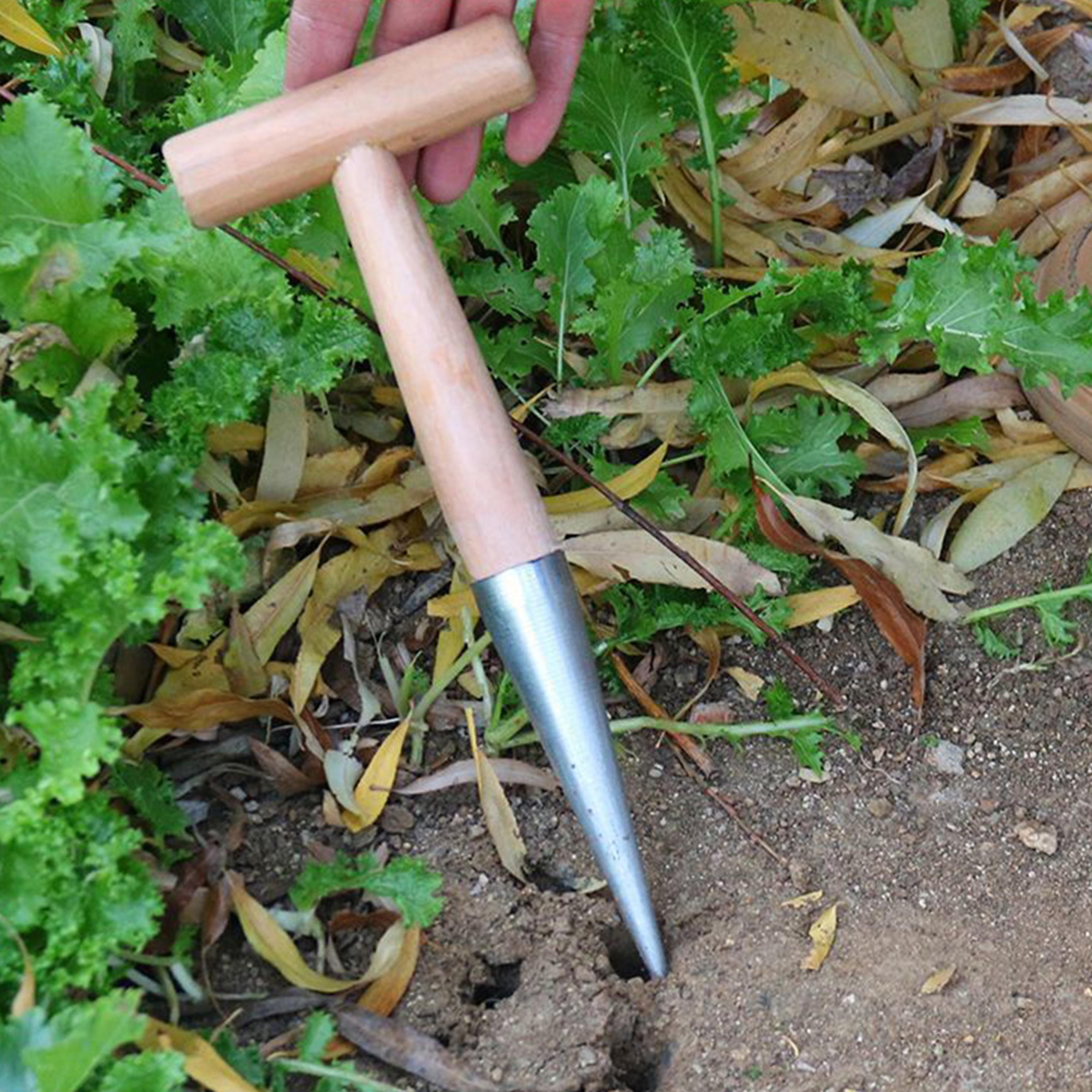 Stainless Steel Garden Dibber With Wooden Handle For Bulb Planting  Seed Transplanting 1