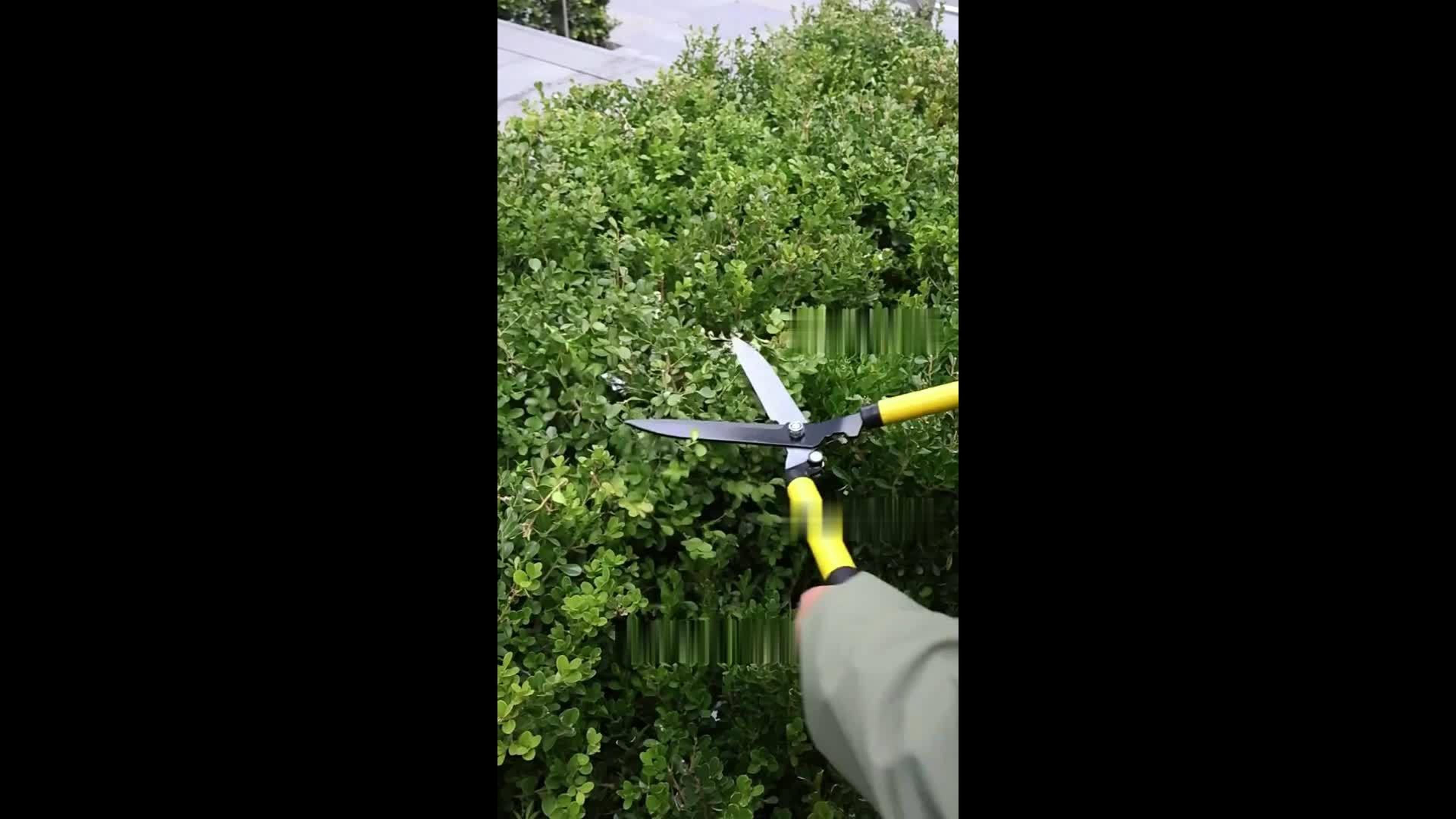 Ergonomic Long Nose Garden Shears For Precision Pruning And Plant Care 5