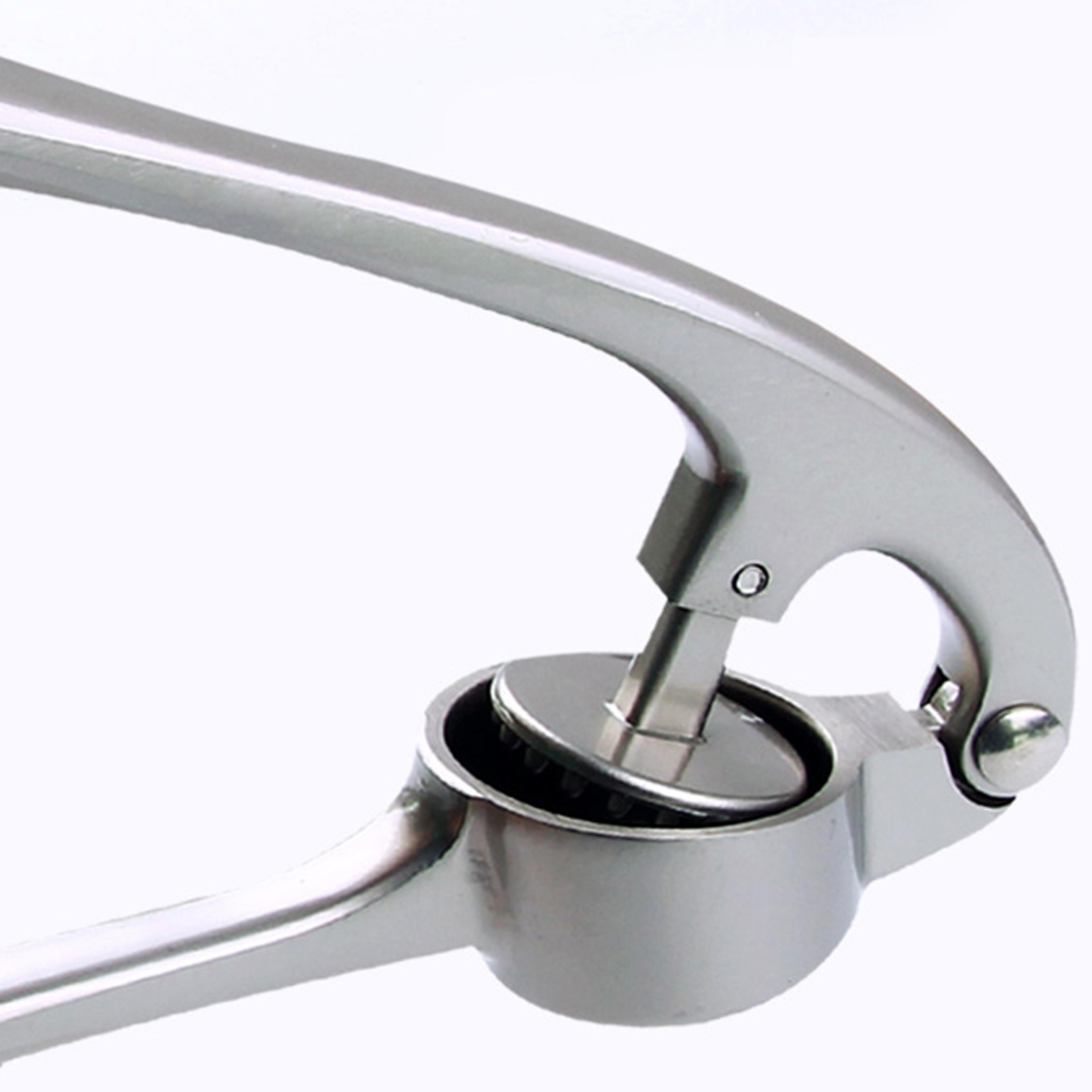 Premium Zinc Alloy Garlic Press And Ginger Crusher Kitchen Tool 2