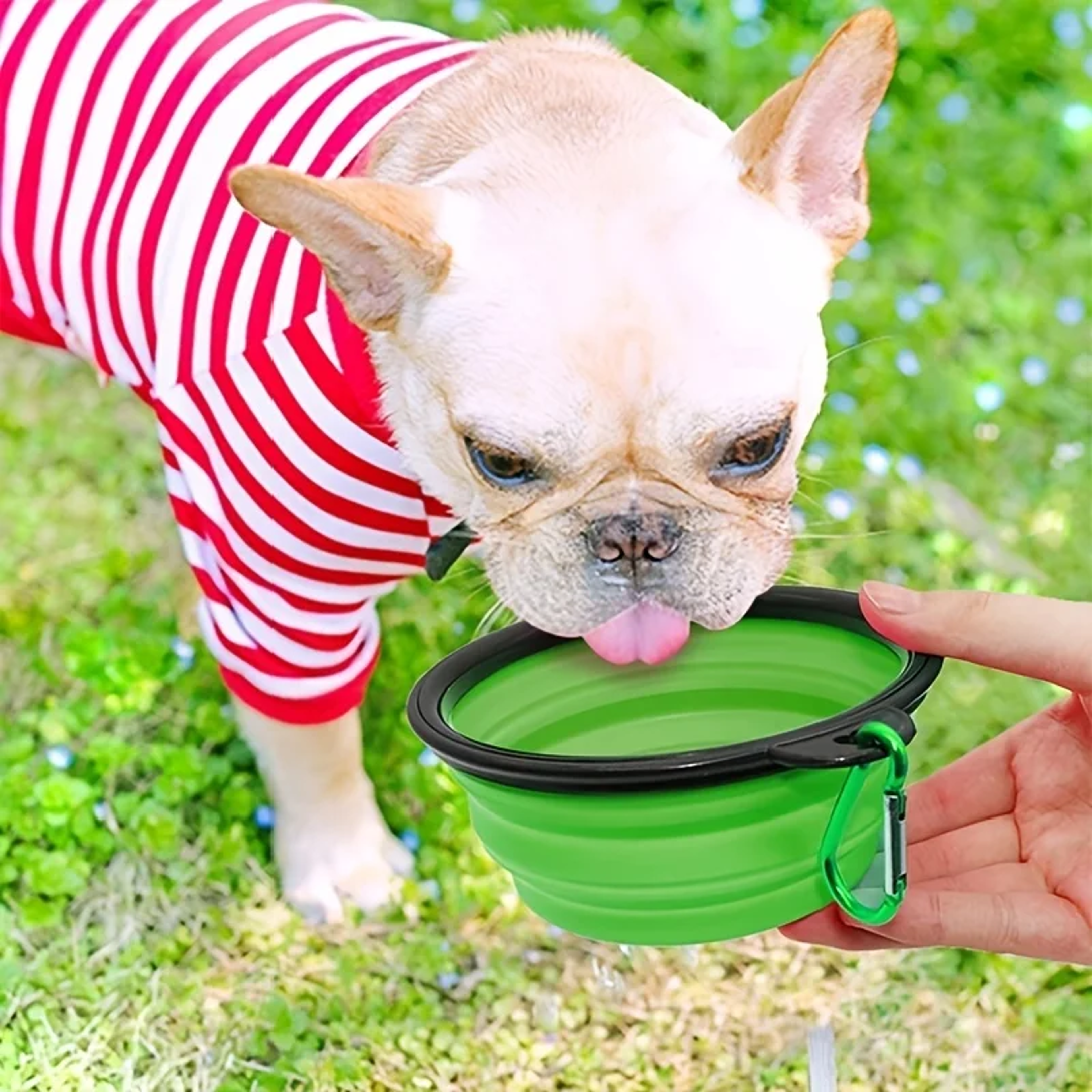 Collapsible Pet Travel Bowl Portable Silicone Dog  Cat Food Water Bowl 4