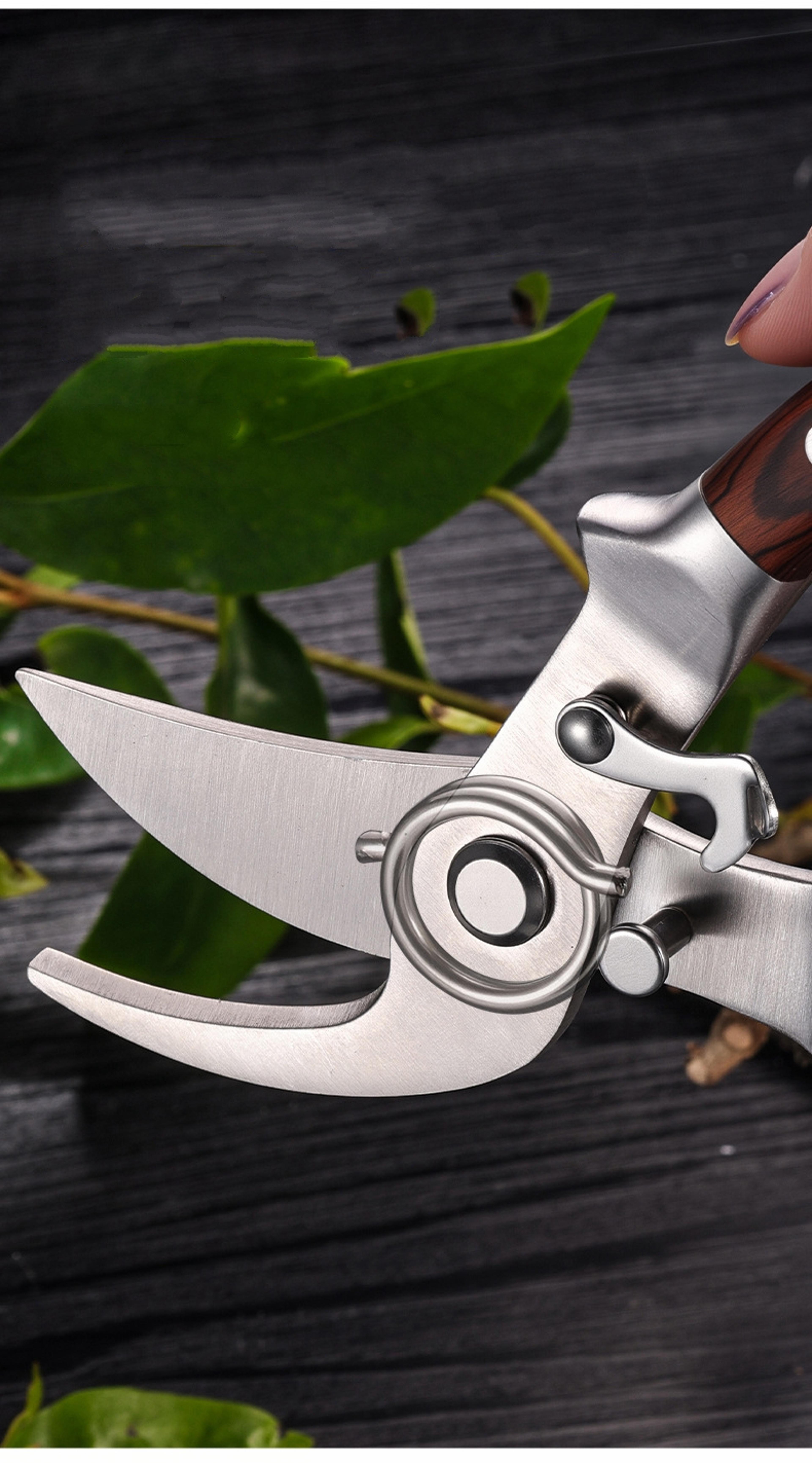 Precision Pruning Shears Garden Pruners For Effortless Branch  Plant Trimming 3