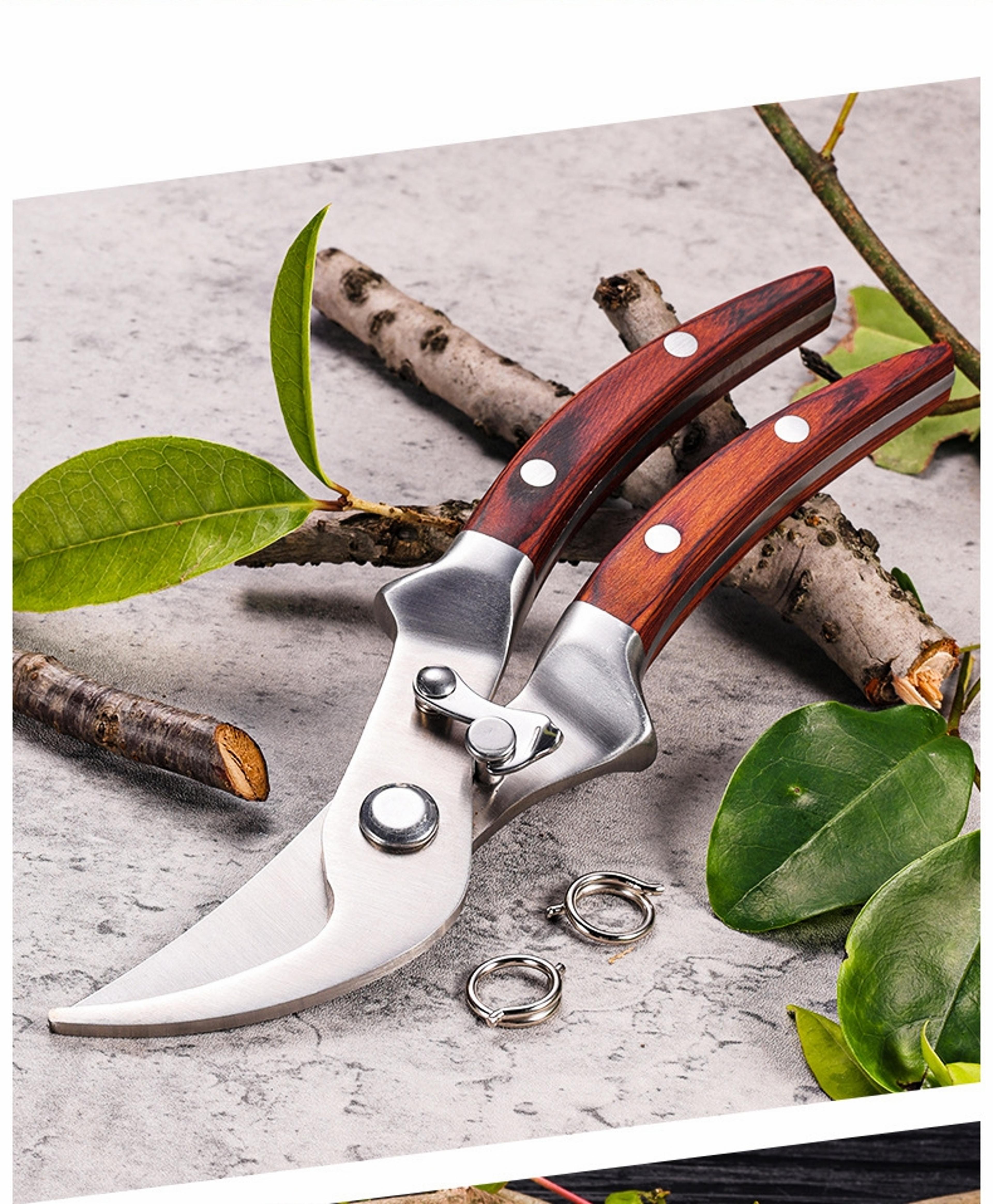 Precision Pruning Shears Garden Pruners For Effortless Branch  Plant Trimming 0