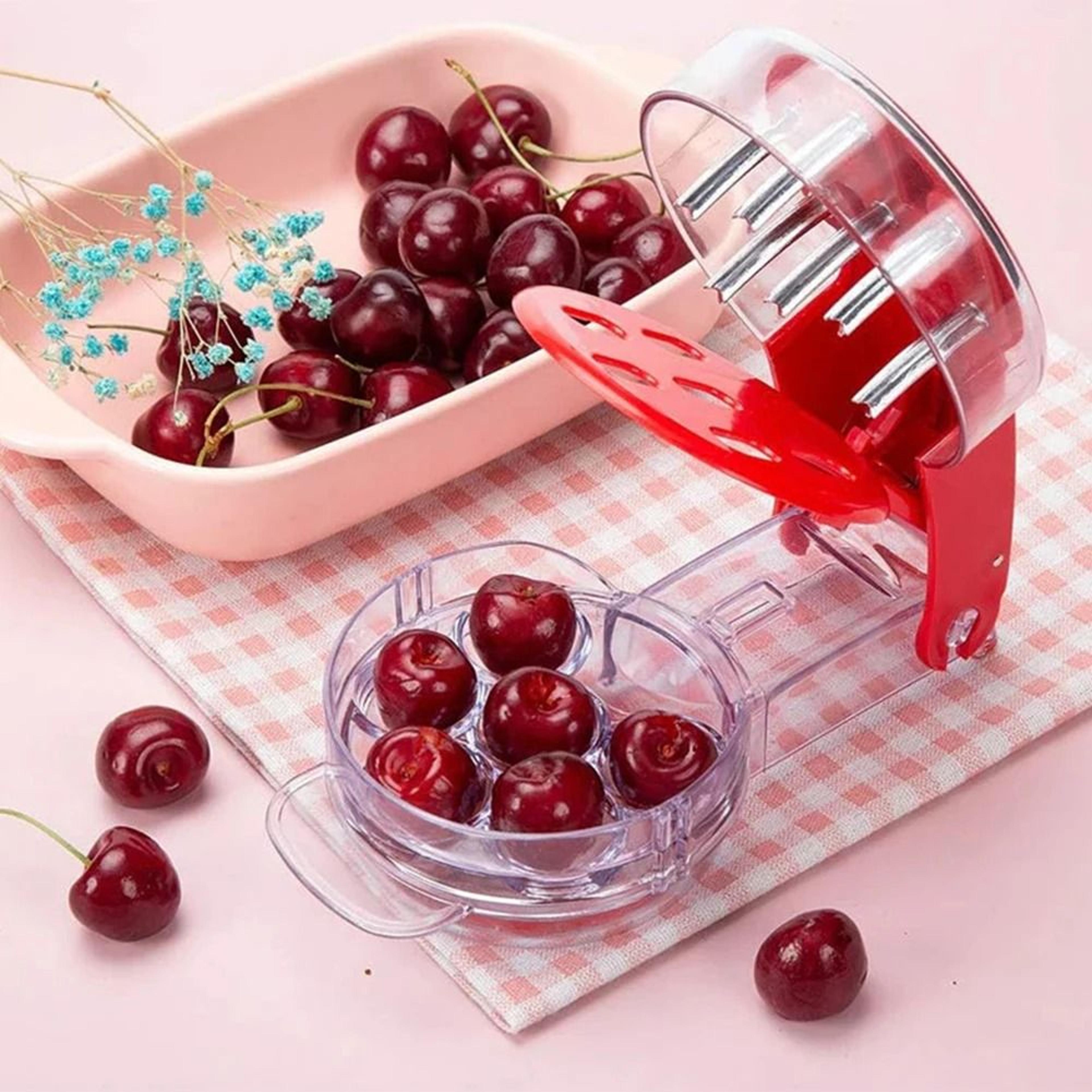 6-hole stainless steel cherry pitter | easy handheld corer