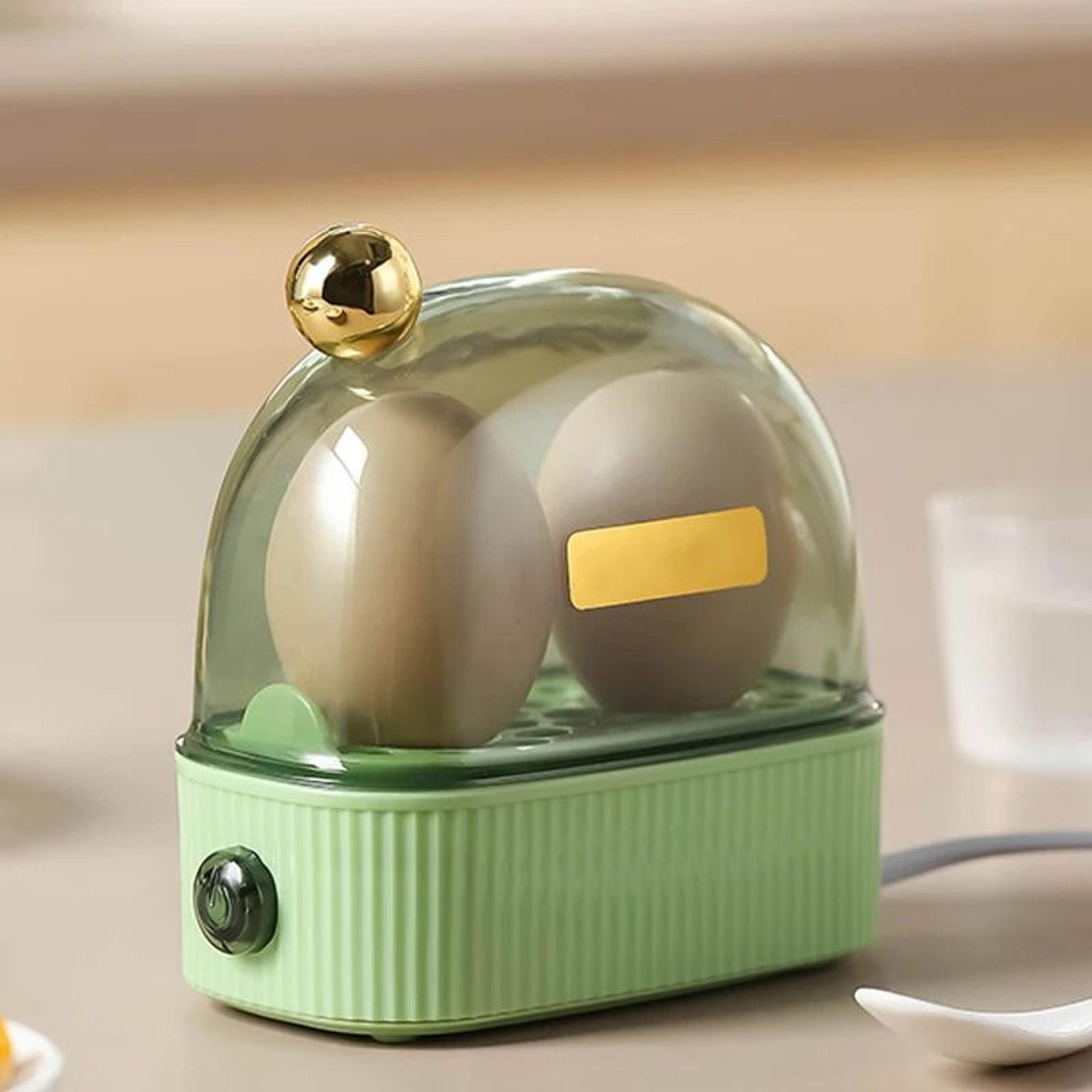 EasytoUse Electric Egg Boiler