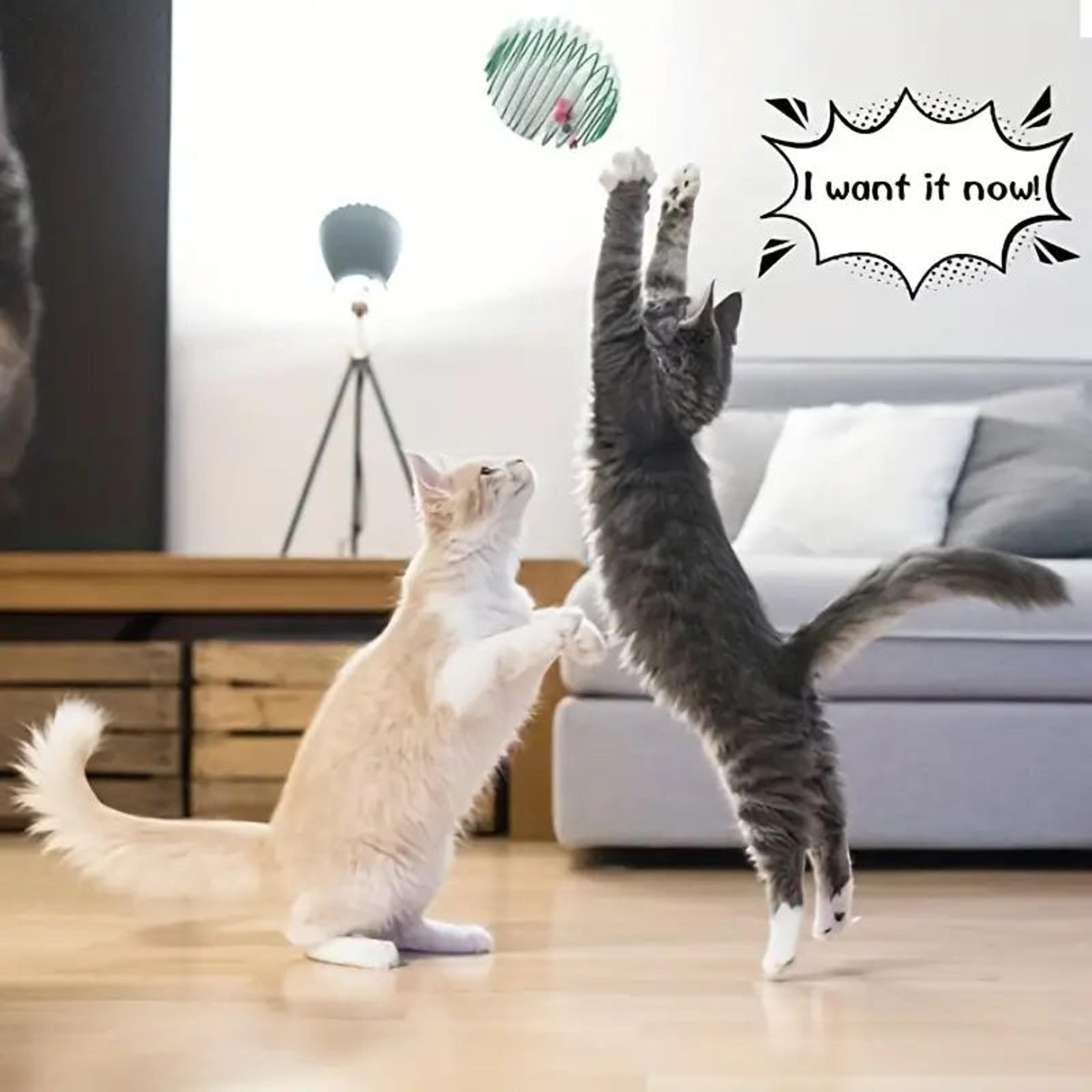 vMGzCat-Toy-Balls-Funny-Stretchable-Kitten-Springs-Toys-Interactive-Caged-Rats-Rolling-Cat-Balls-Random-Color.jpg