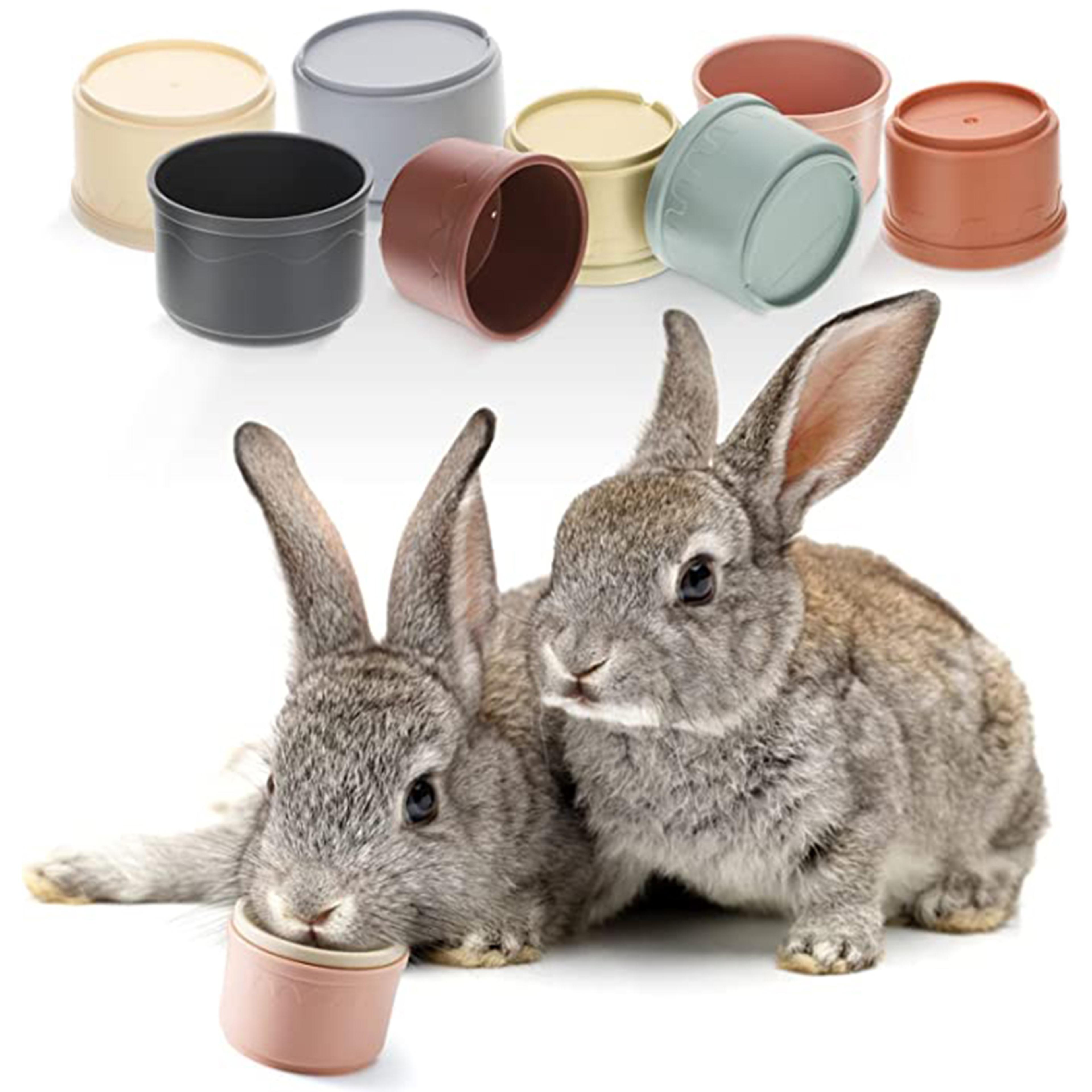 multi-colored stacking cups toy: engaging puzzle toy for small animals