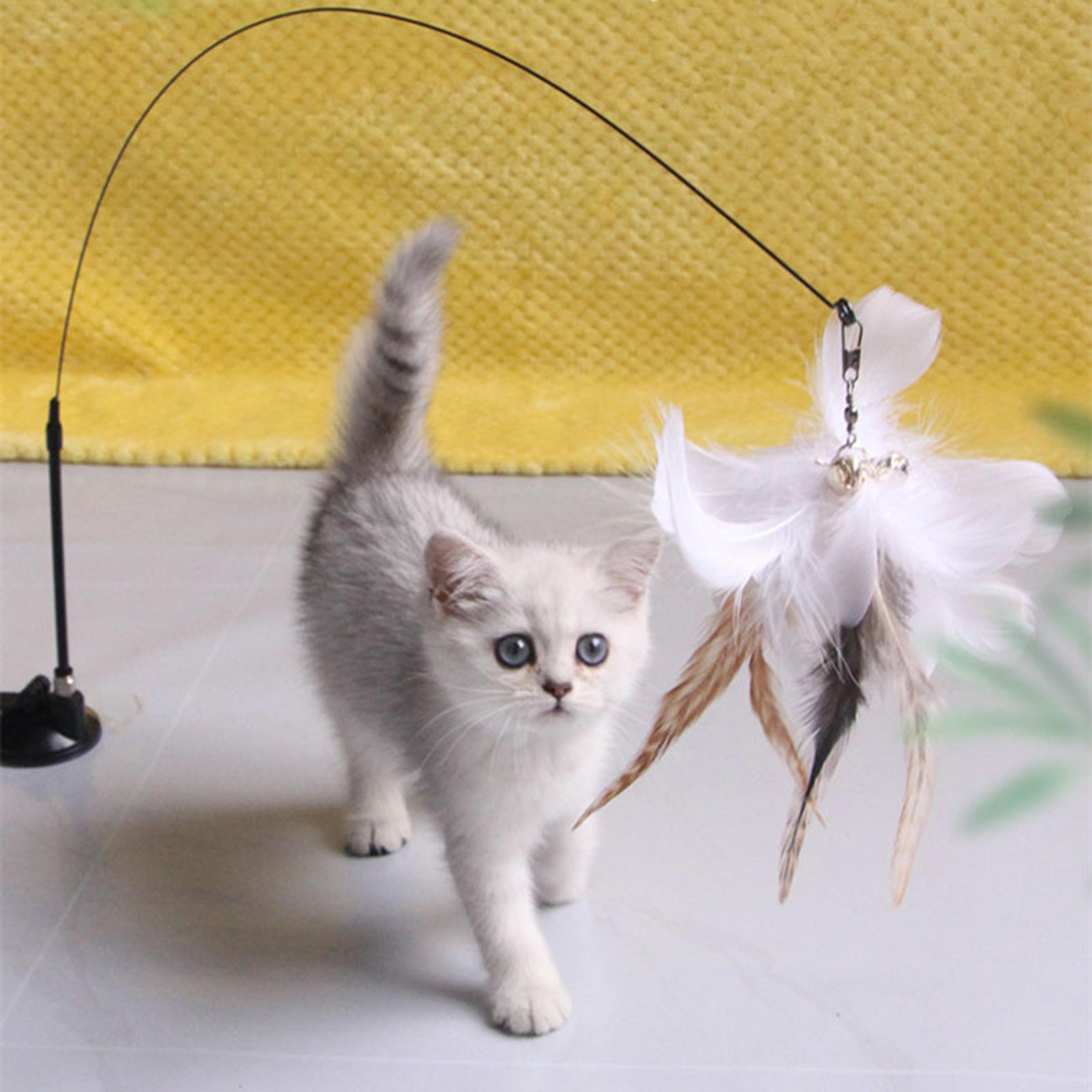 gKqgCat-Toy-Funny-Cat-Toys-Interactive-Self-Hi-Feather-Toys-for-Cats-Tease-Bite-Resistant-Cats.jpg
