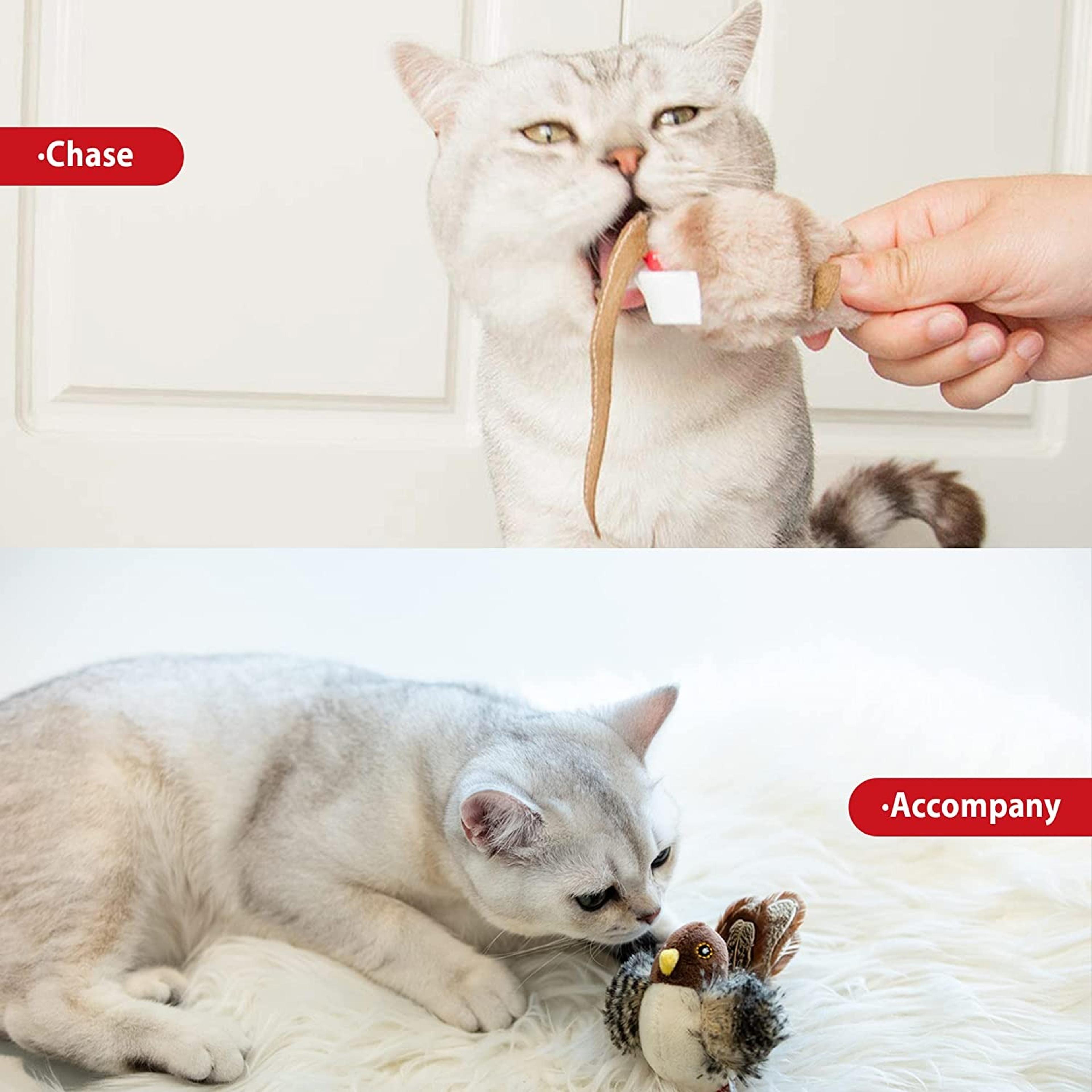 cXZfPet-Cat-Toy-Sparrow-Insects-Mouse-Shaped-Bird-Simulation-Sound-Oft-Stuffed-Toy-Pet-Interactive-Sounding.jpg