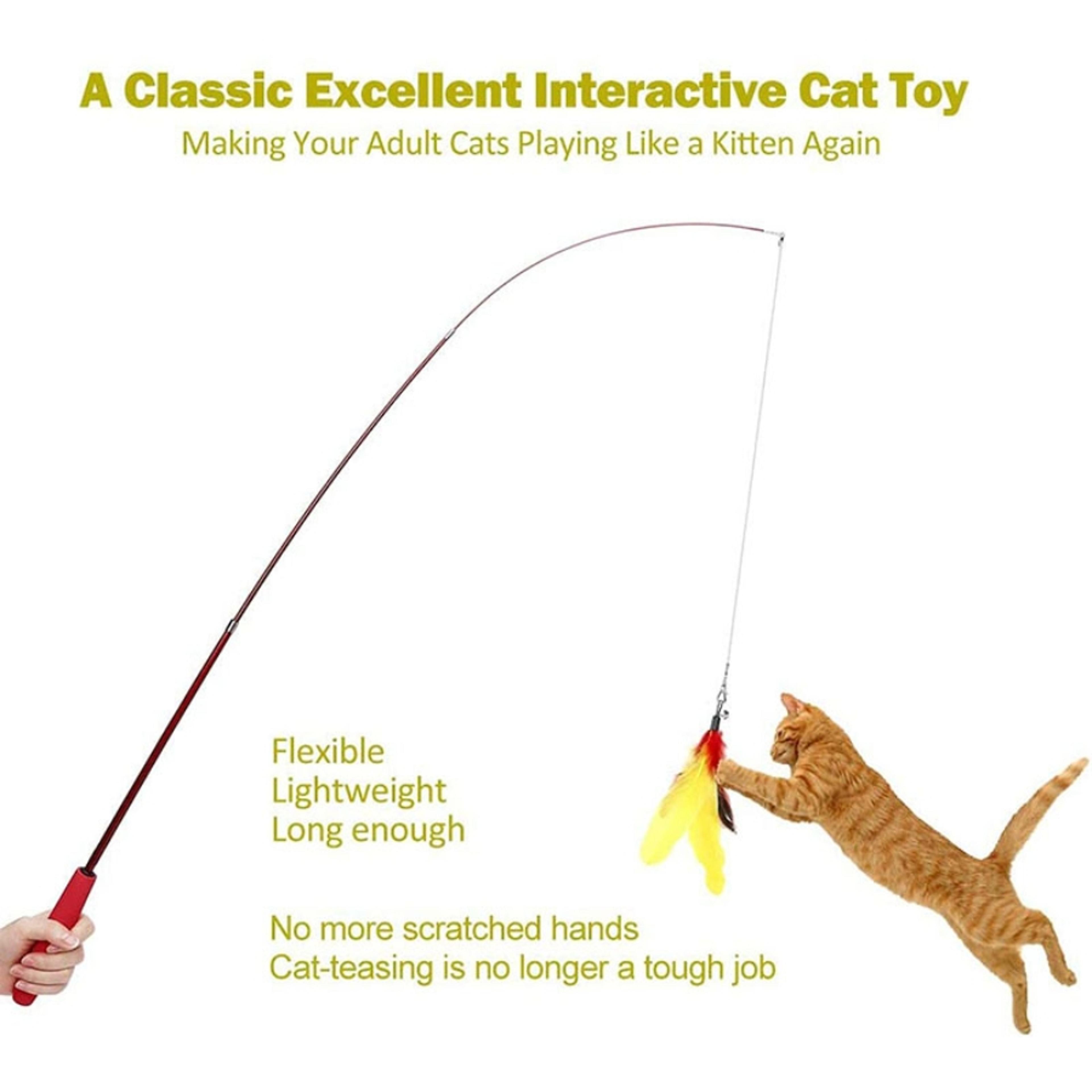 RAYhPet-cat-toy-feather-replacement-head-teasing-cat-rod-fishing-rod-caterpillar-teasing-cat-toy-set.jpg