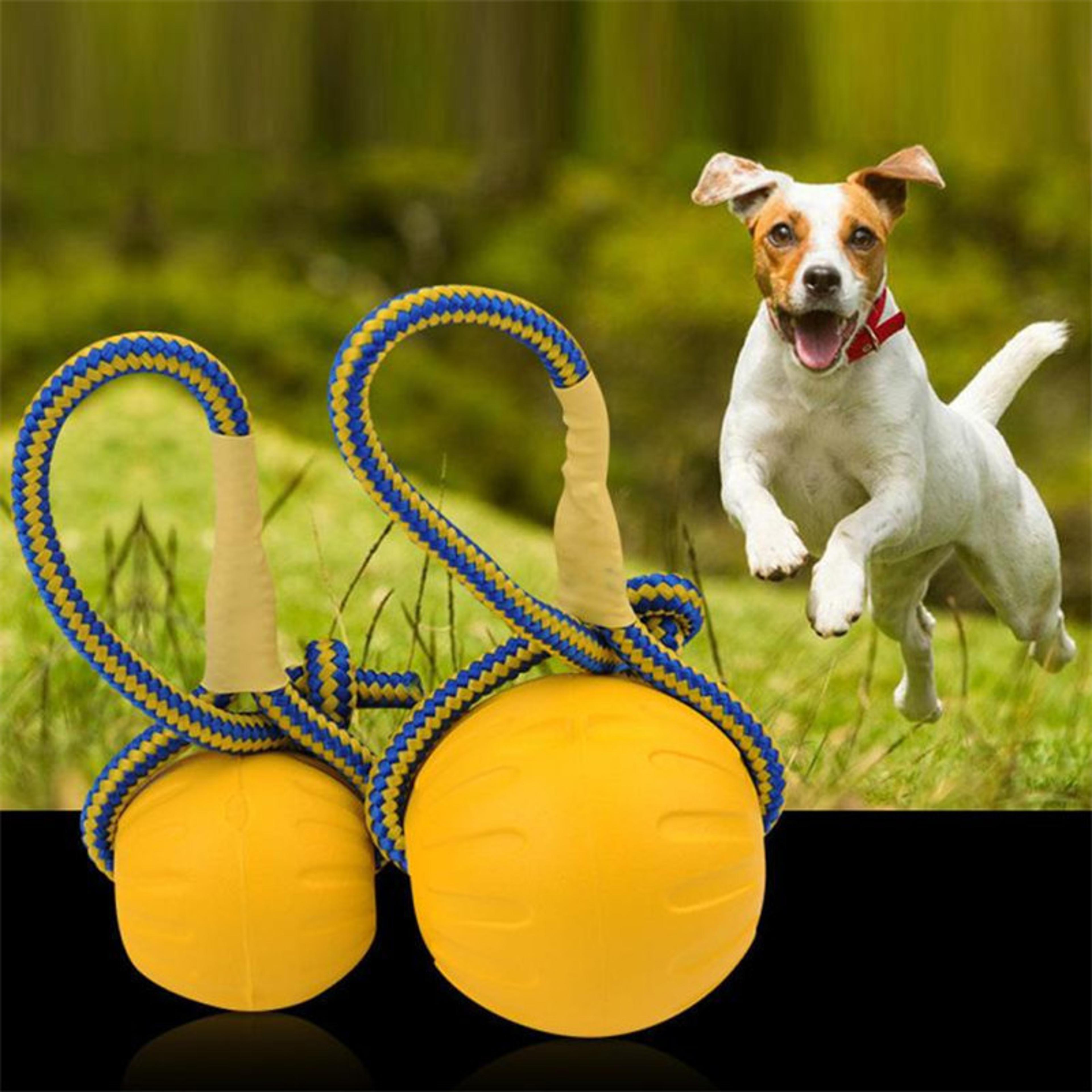 kiPr7-9cm-Indestructible-Solid-Rubber-Ball-Pet-Dog-Training-Chew-Play-Fetch-Bite-Toy-Dog-Toys.jpg