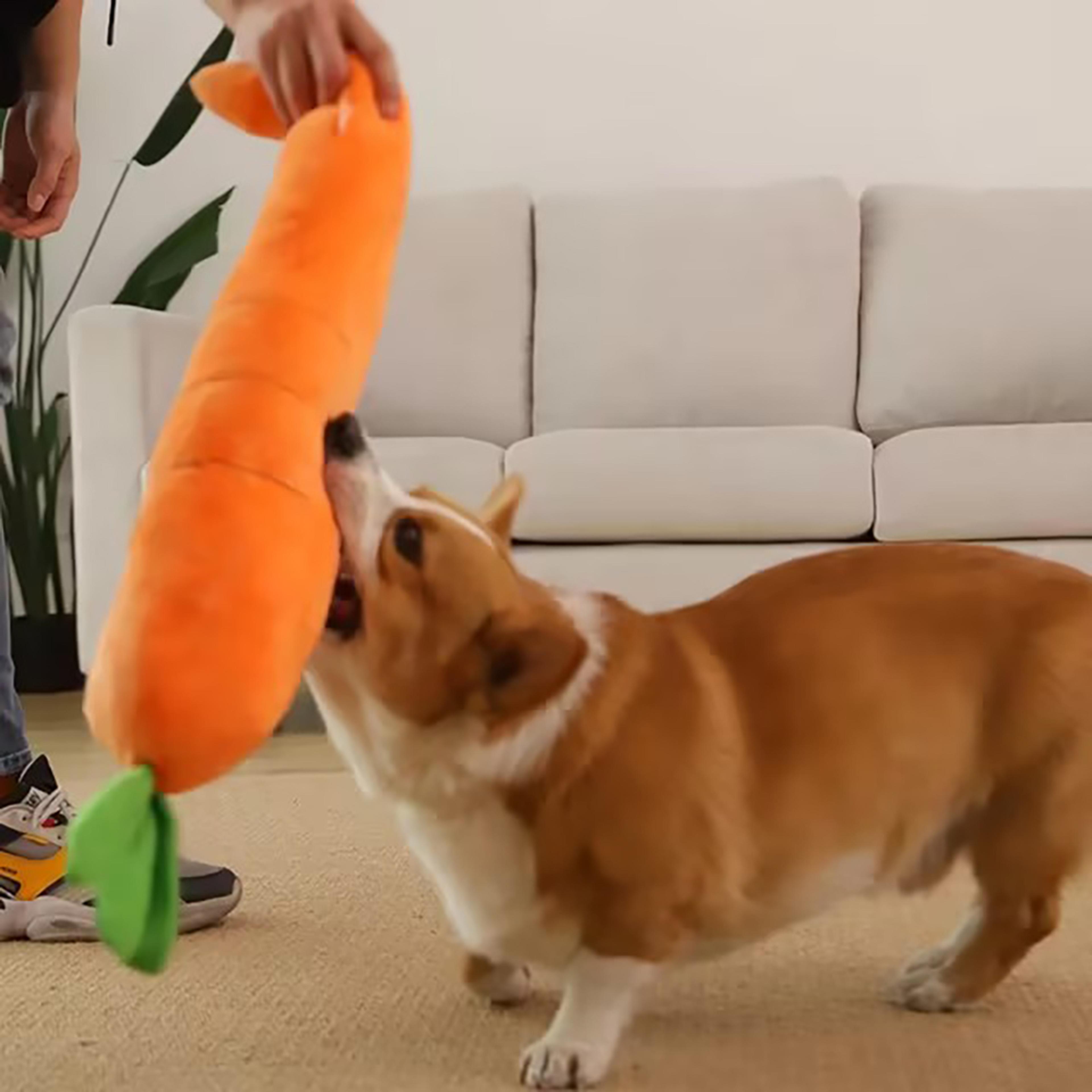 EsnmMadden-Dog-Toy-Pet-Carrot-Plush-Toy-Vegetable-Chew-Toy-for-Small-Medium-Large-Dogs-Pet.jpg