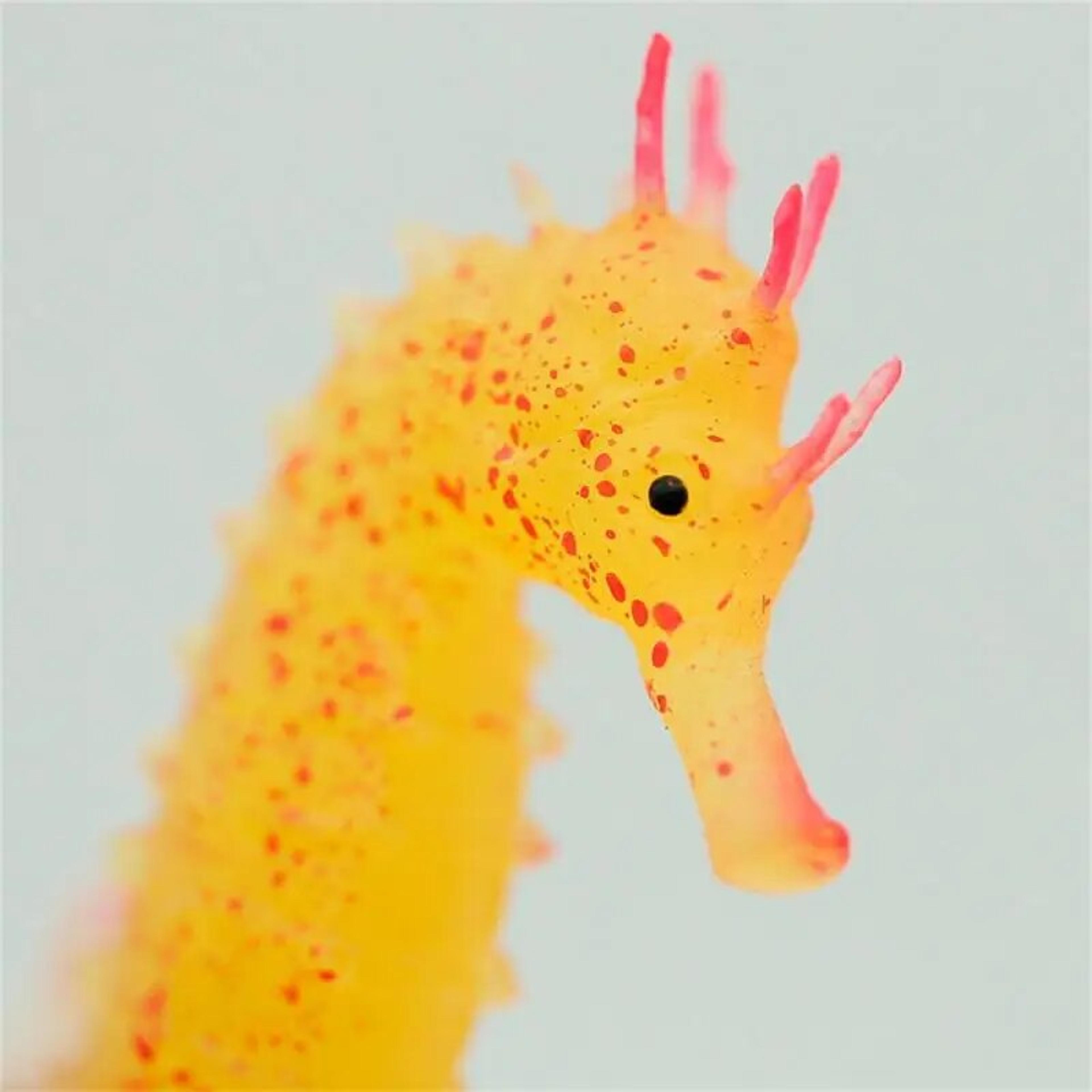 aTTA1set-Aquarium-Artificial-Luminous-Seahorse-Fish-Tank-Landscape-Silicone-Fake-Fish-Floating-Glow-In-Dark-Ornament.jpg