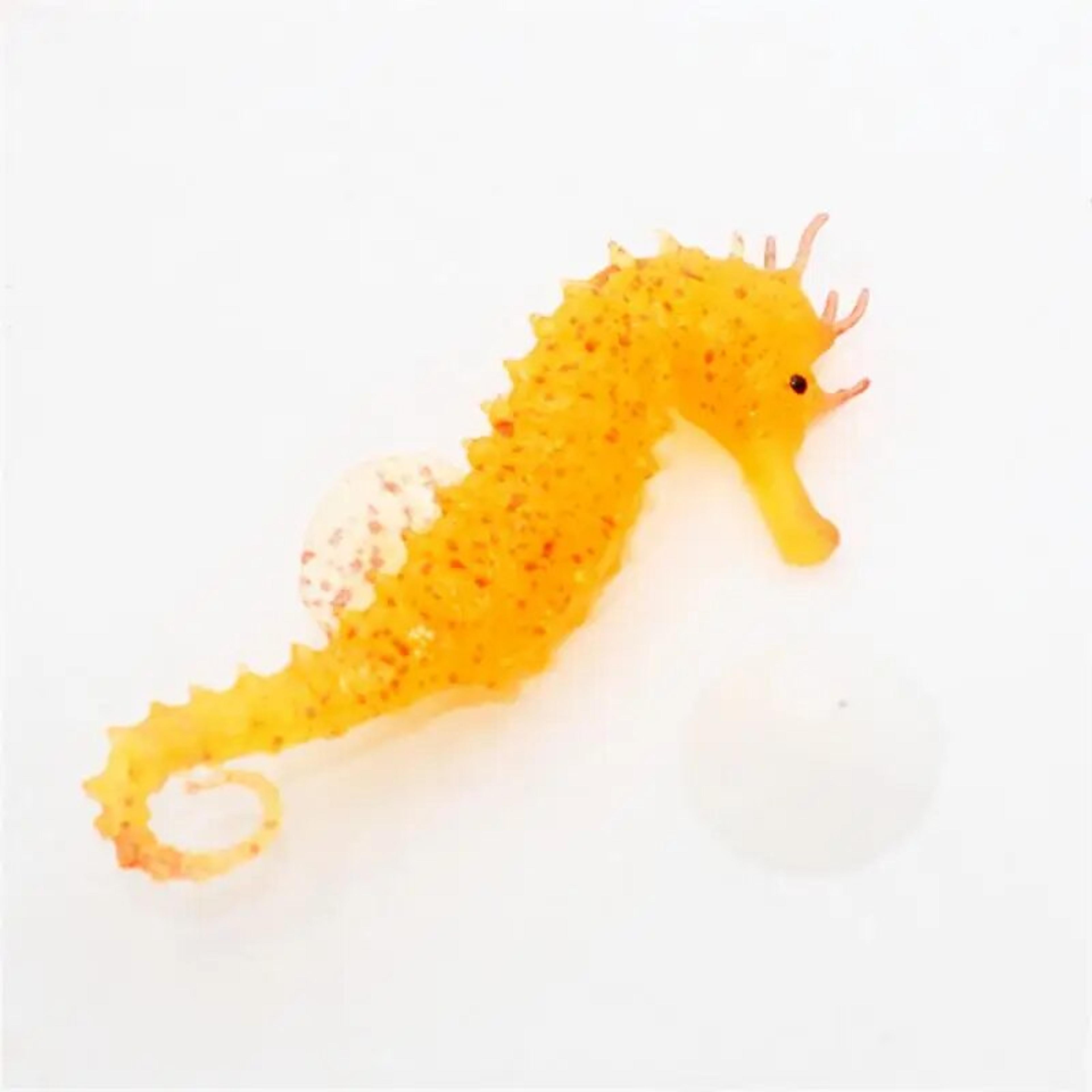 6bjP1set-Aquarium-Artificial-Luminous-Seahorse-Fish-Tank-Landscape-Silicone-Fake-Fish-Floating-Glow-In-Dark-Ornament.jpg